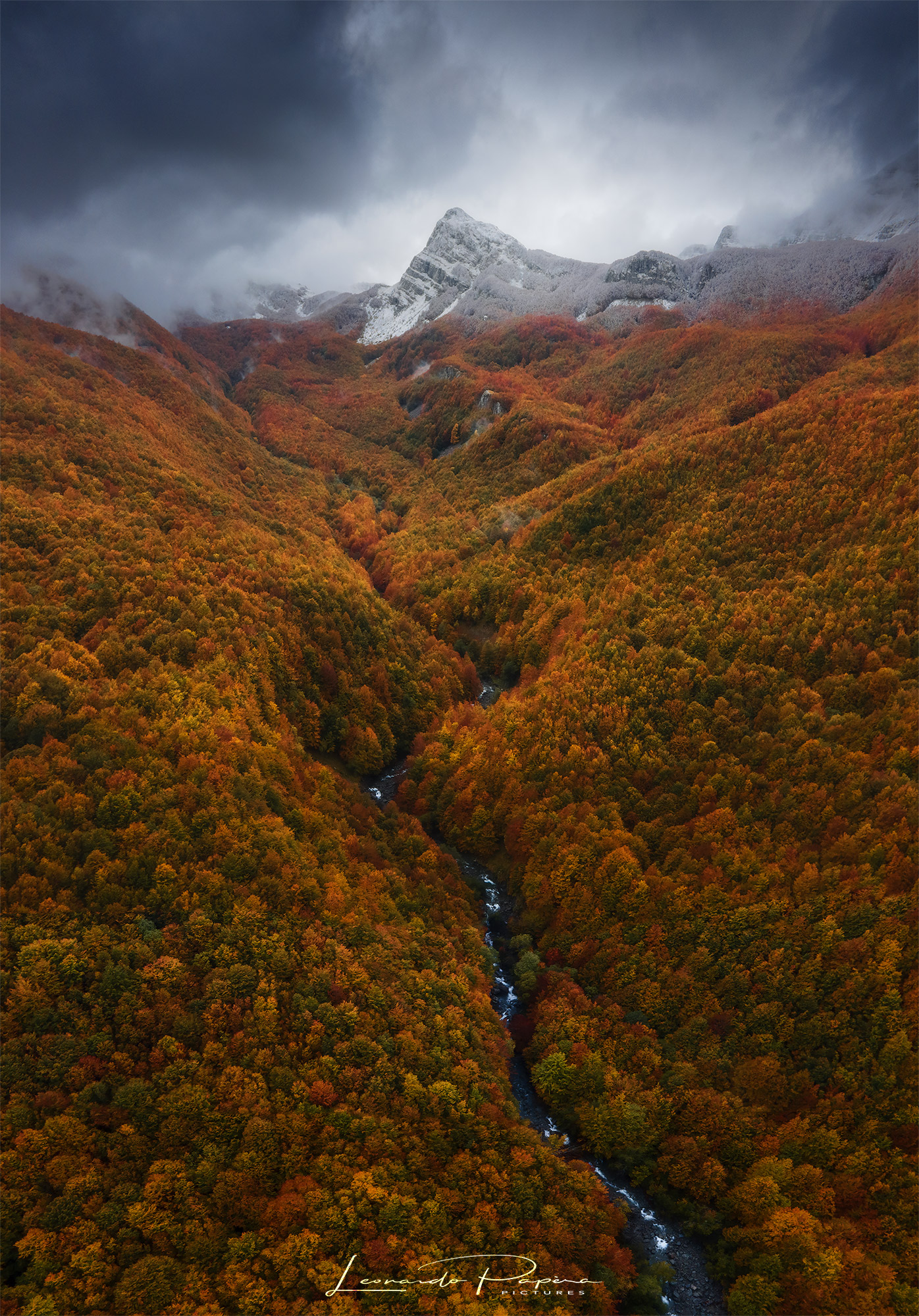 The Endless Path of Life