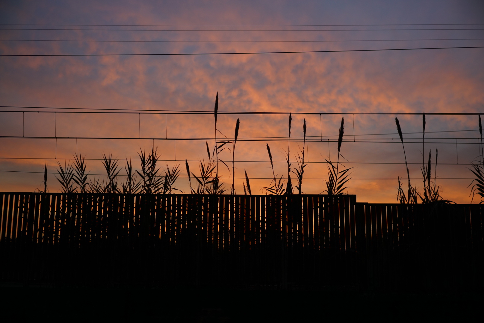 Roma, Parco degli Acquedotti 2020-12-17