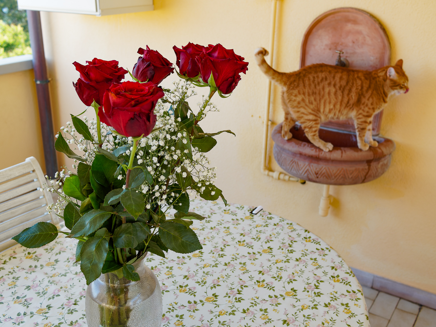 does the indifferent