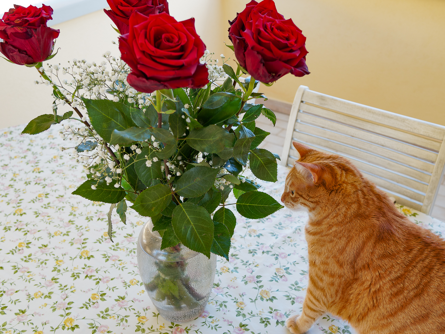 what do they smell like