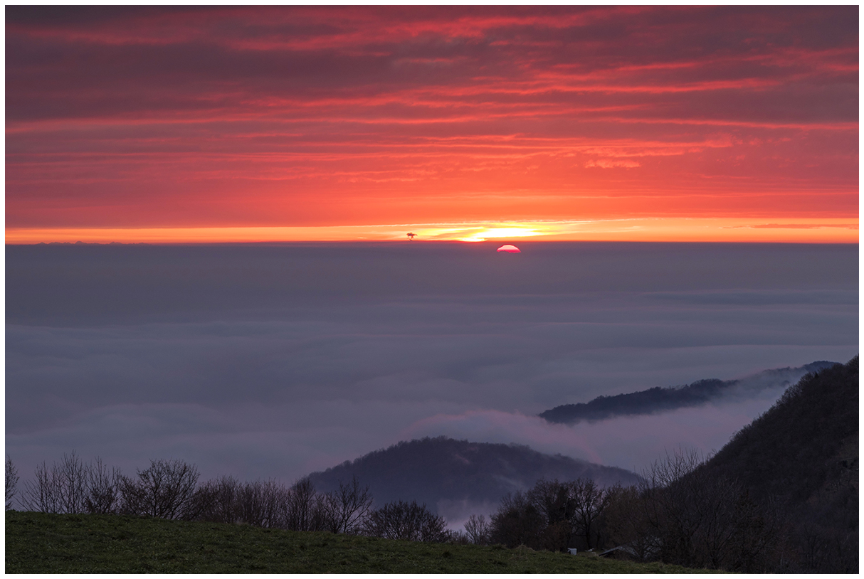 as the sun sets in the fog
