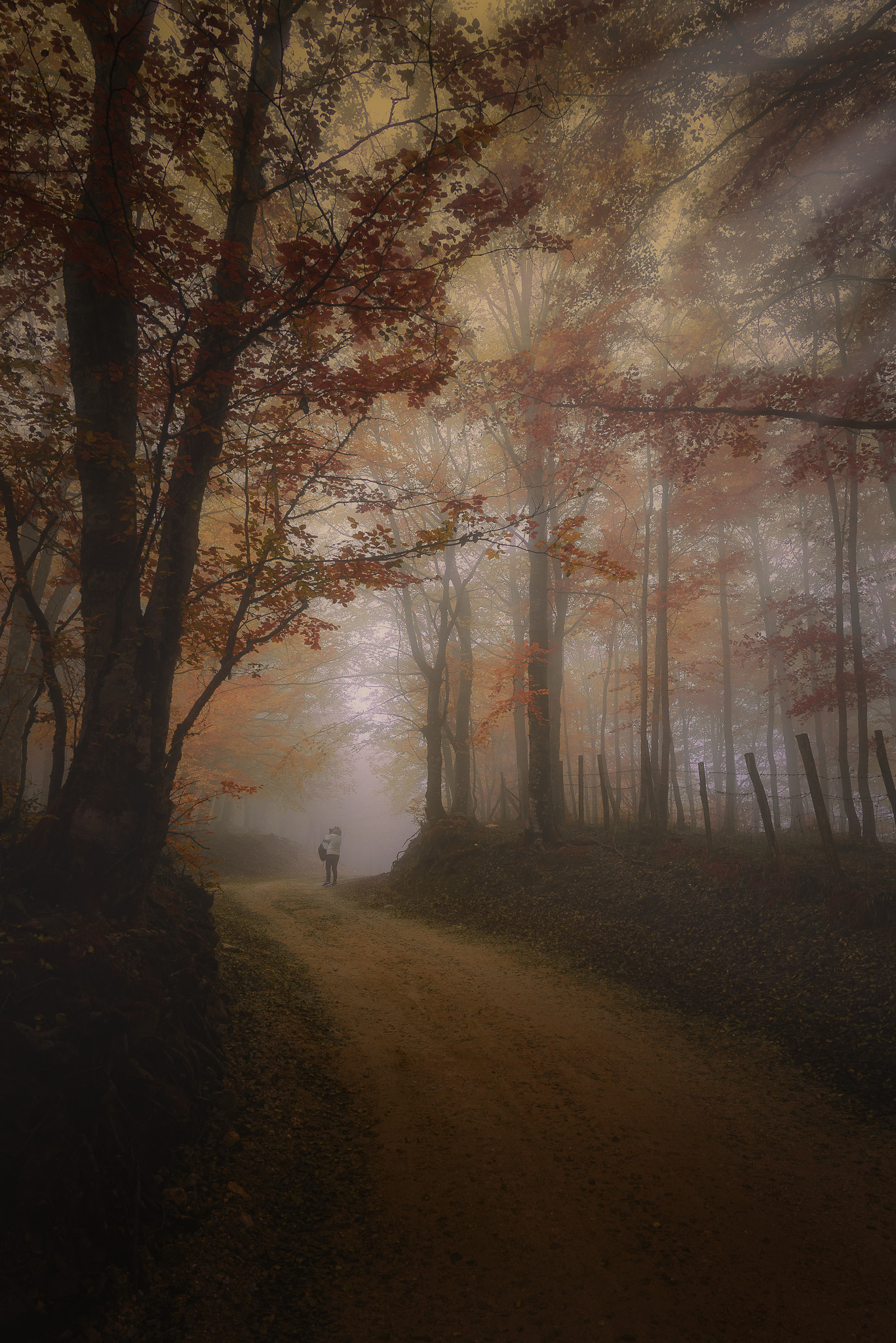 Autumn, 19