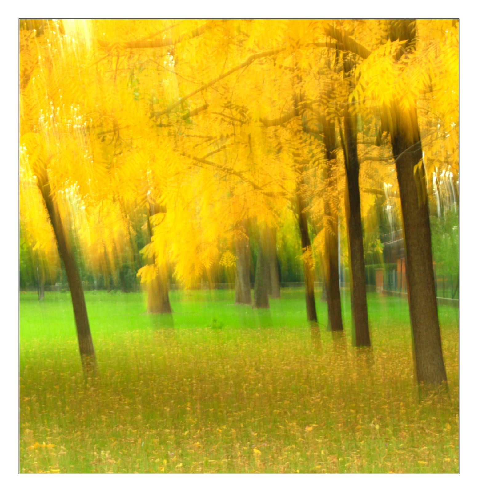 Impressioni d'autunno_03