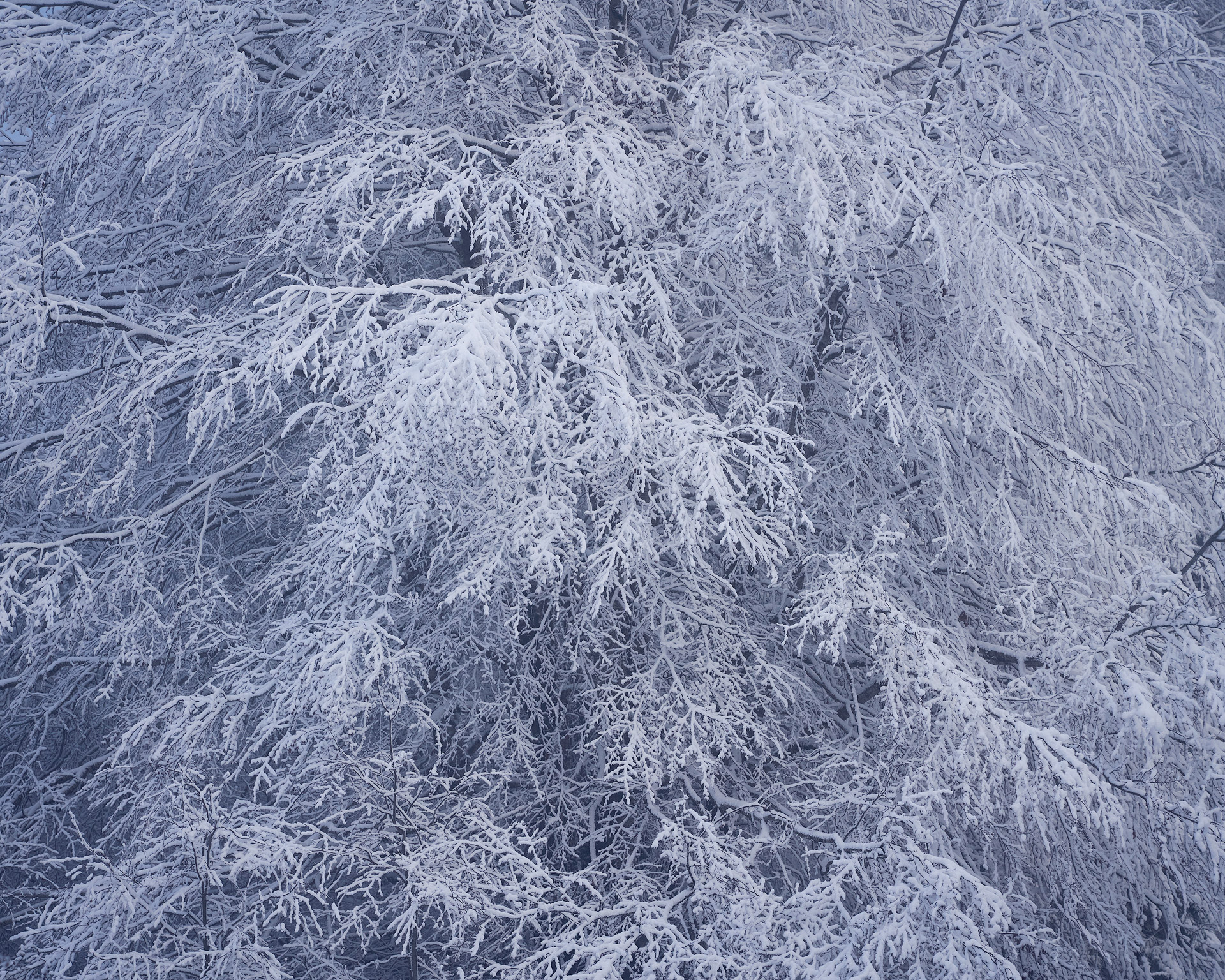 Intimate conversation