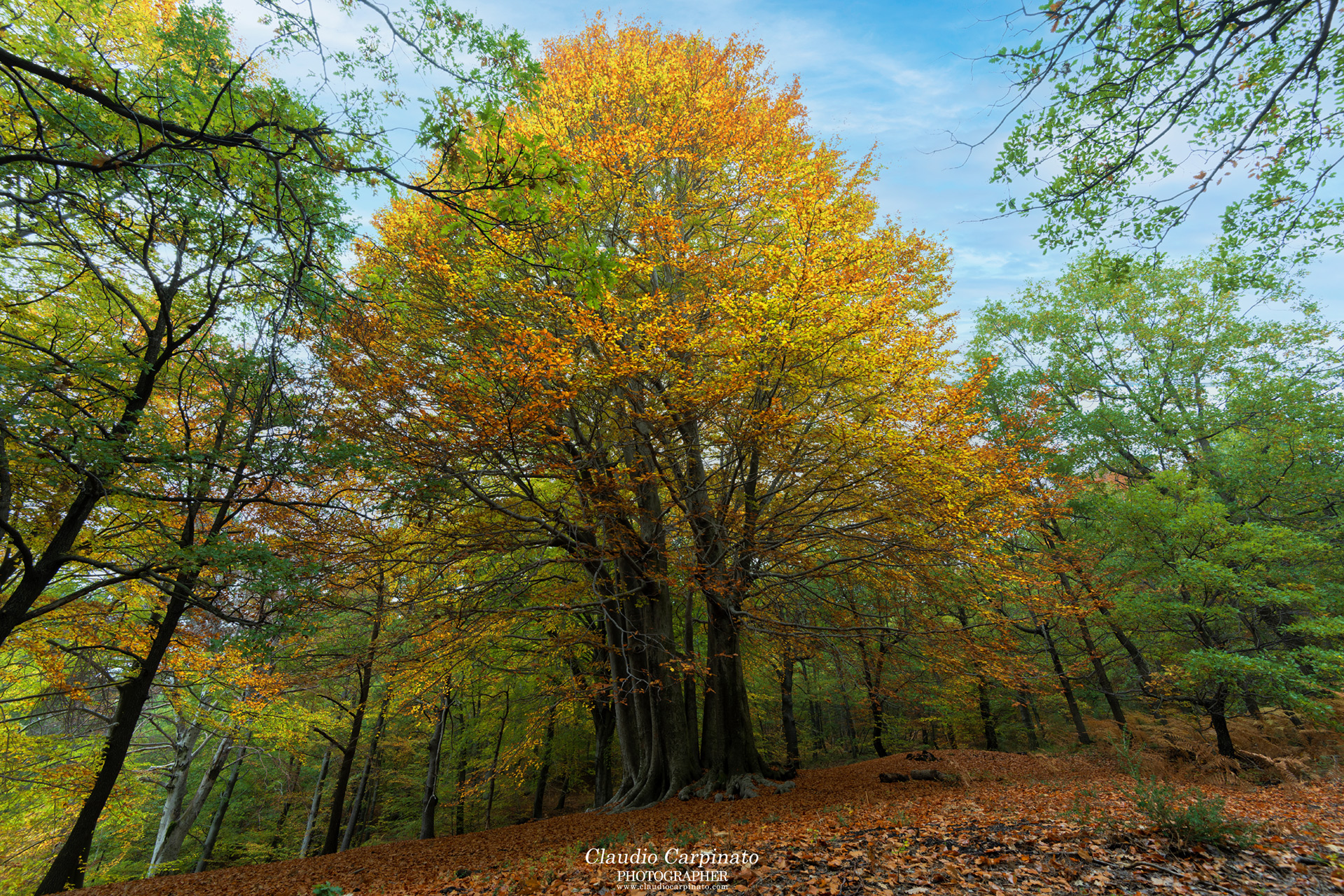Passeggiando sull'Etna