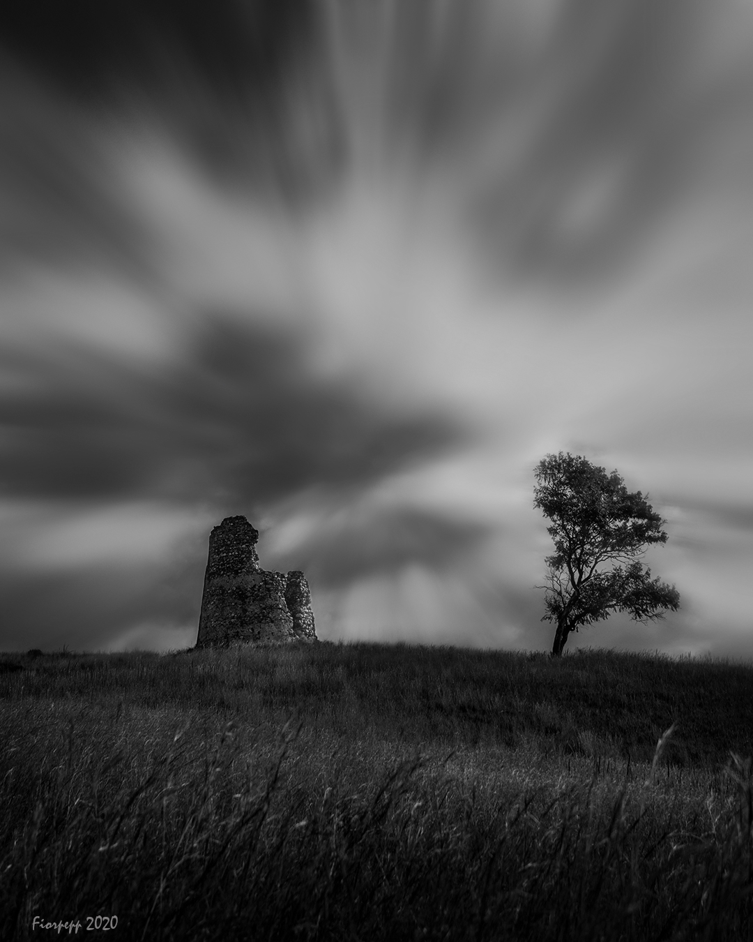 The Tower and the Tree