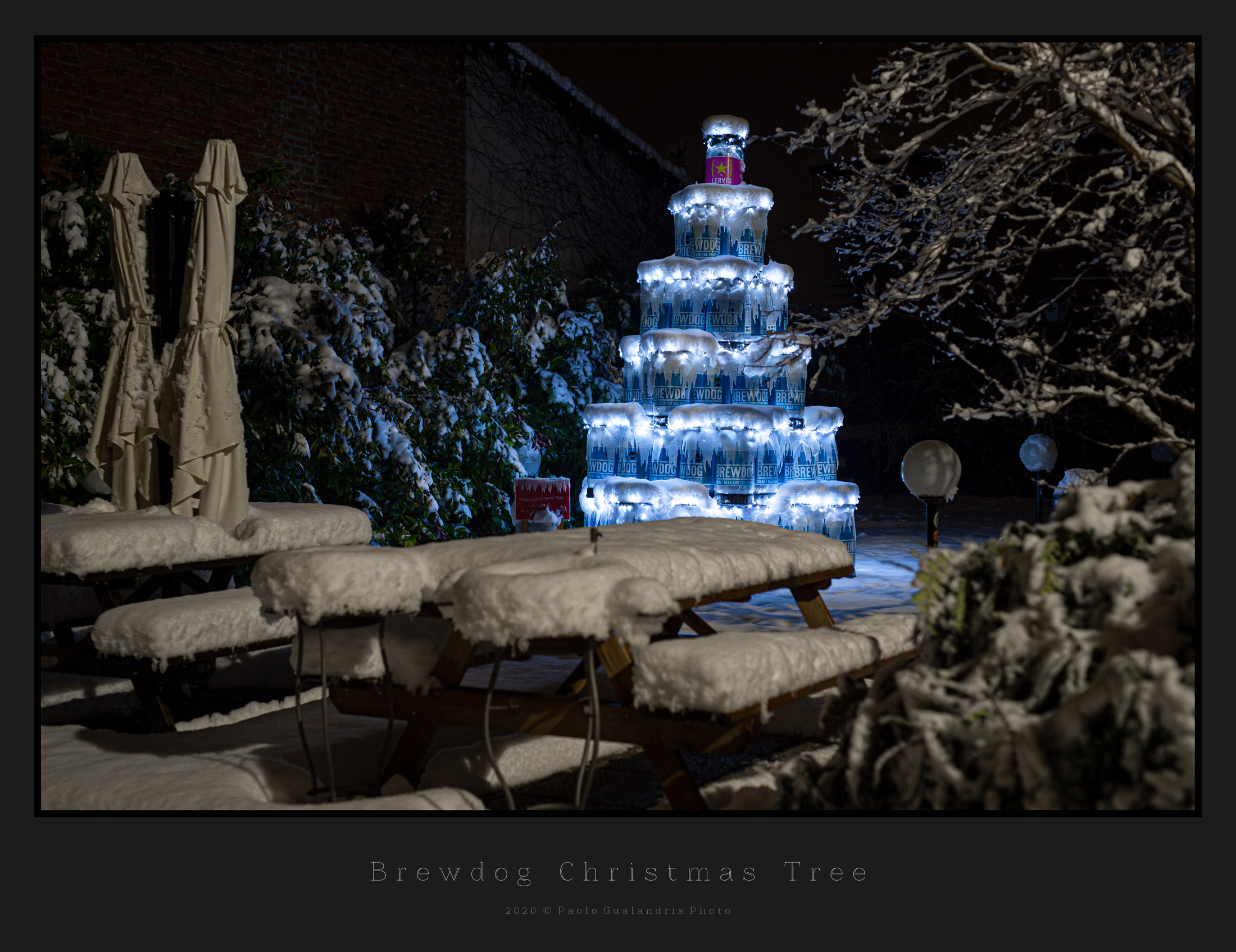 l' Albero Della Birra