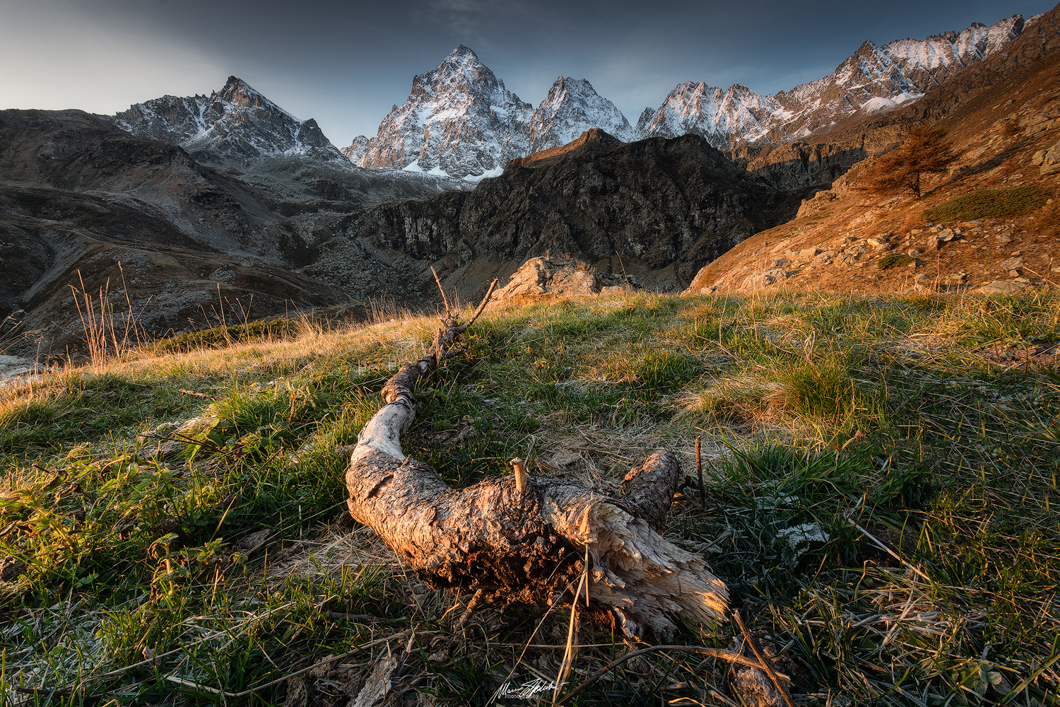Alla ricerca di una buona composizione