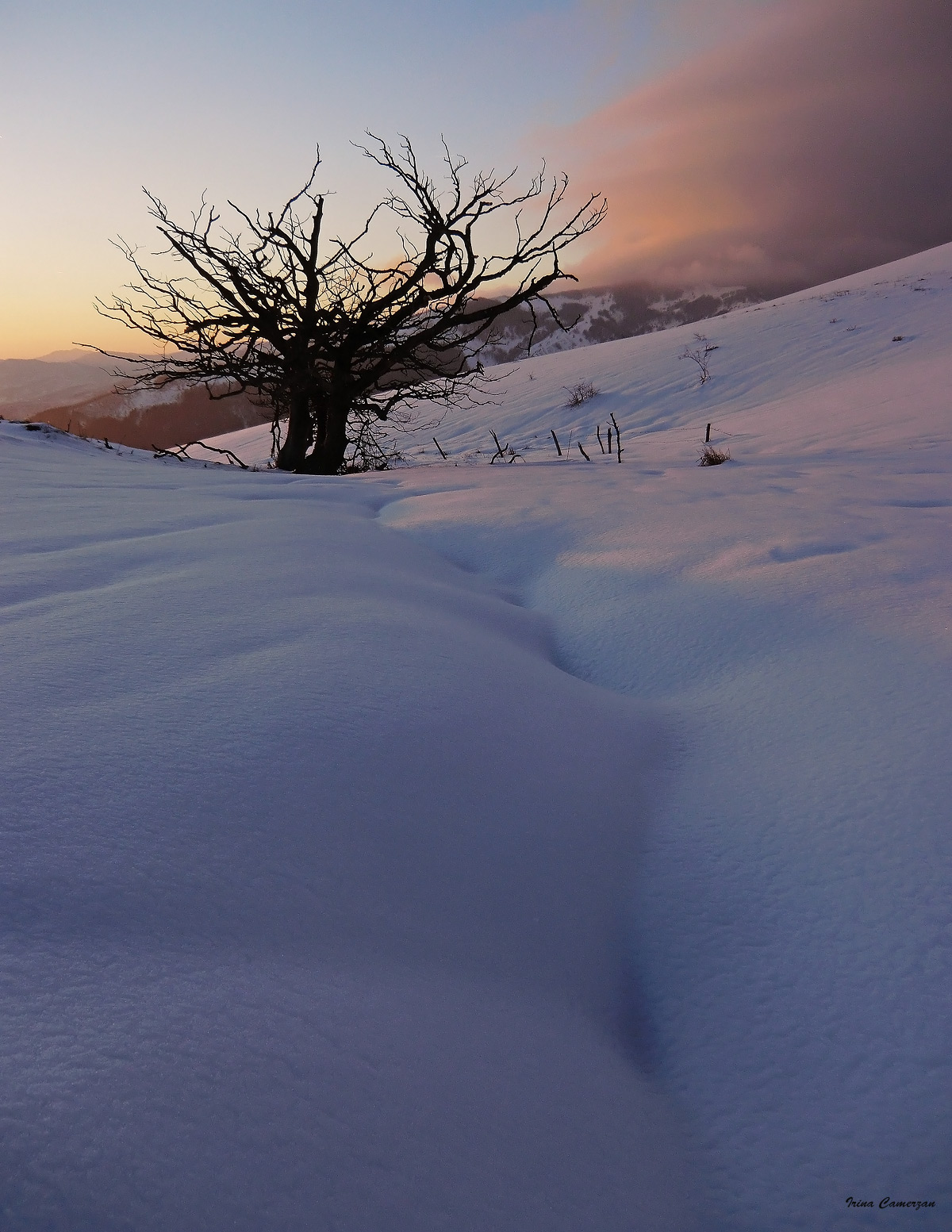 la strada verso casa ...