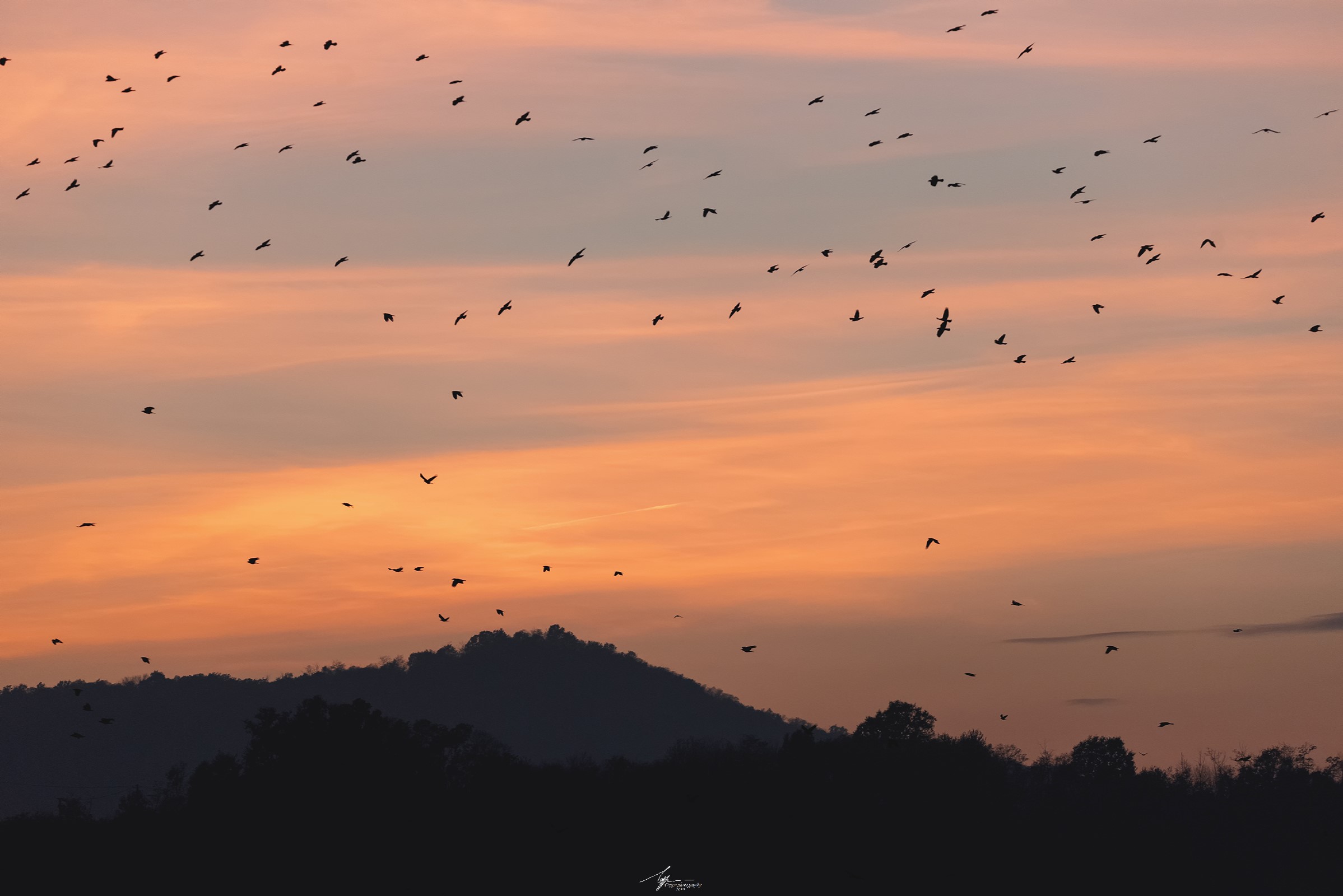 In partenza verso il caldo