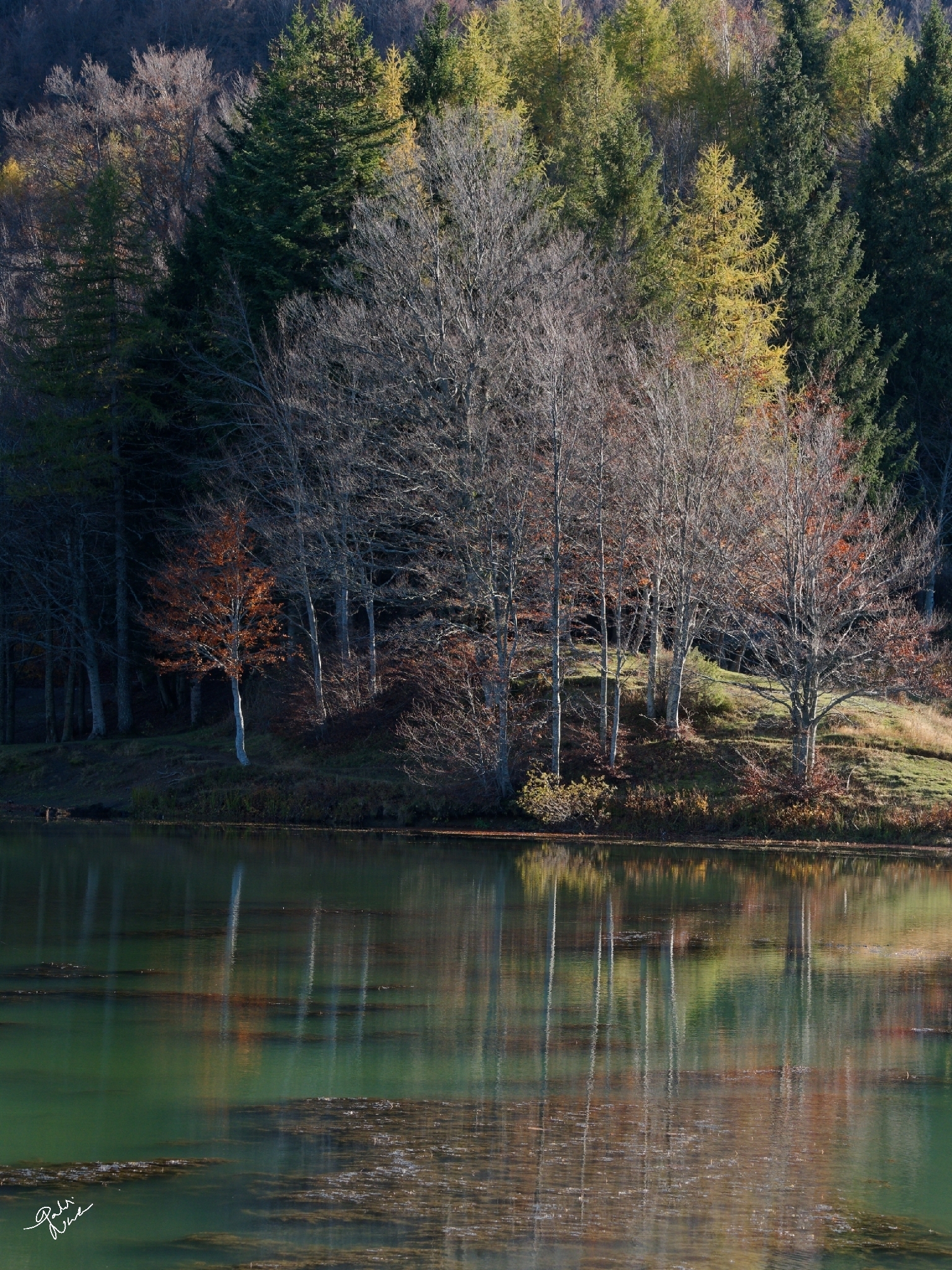 Reflections at Lake CALAMONE N.2