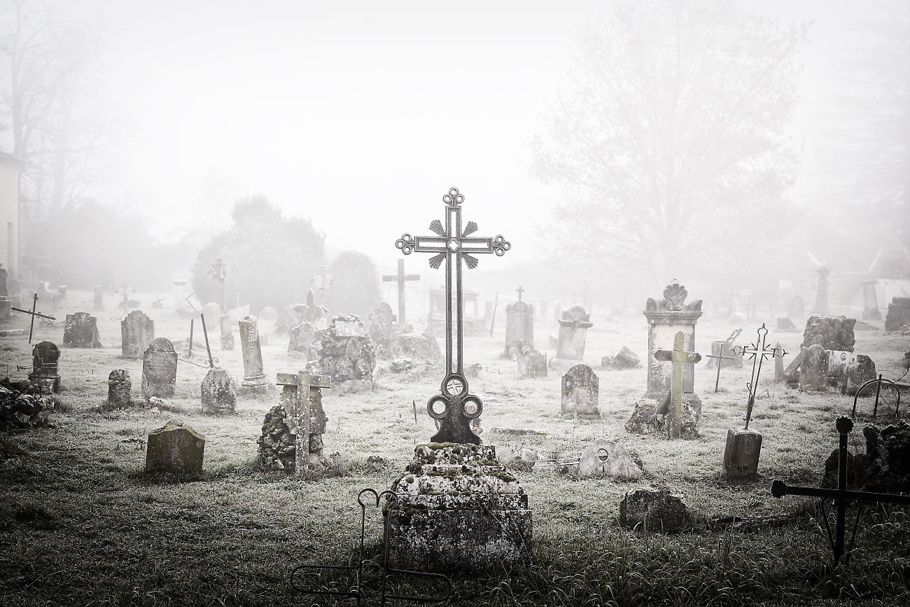 In pulverem reverteris