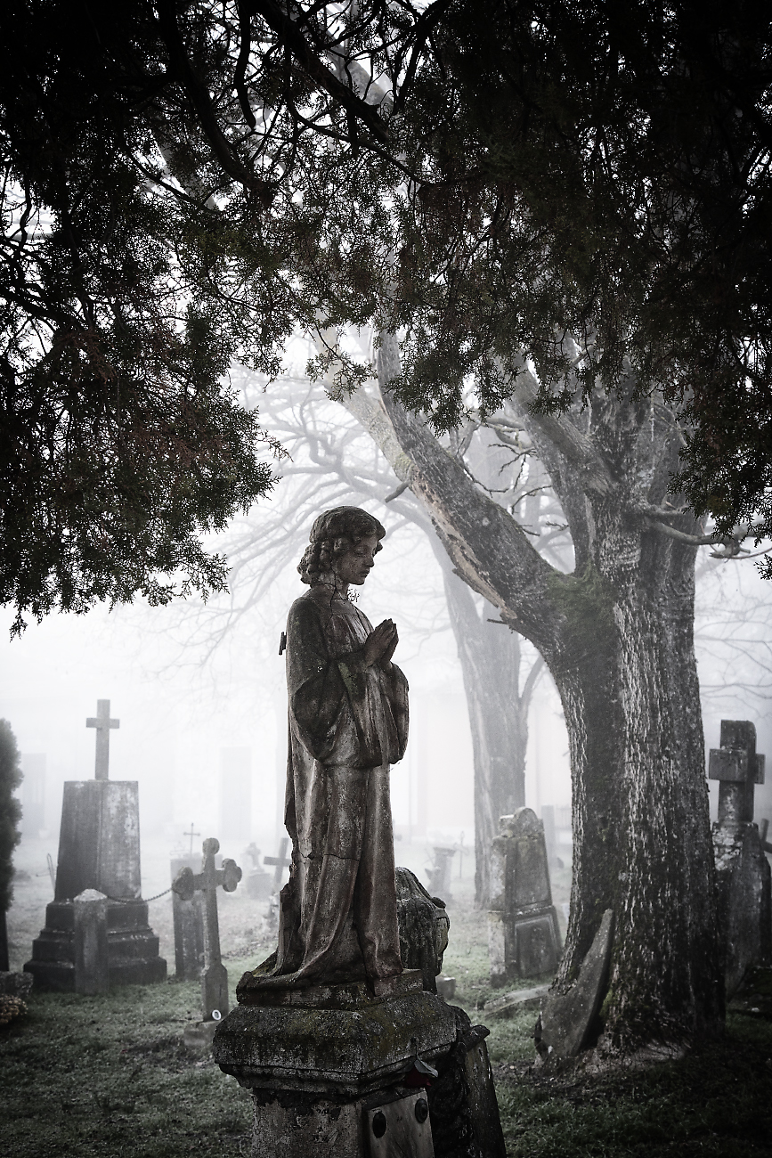 In pulverem reverteris 2