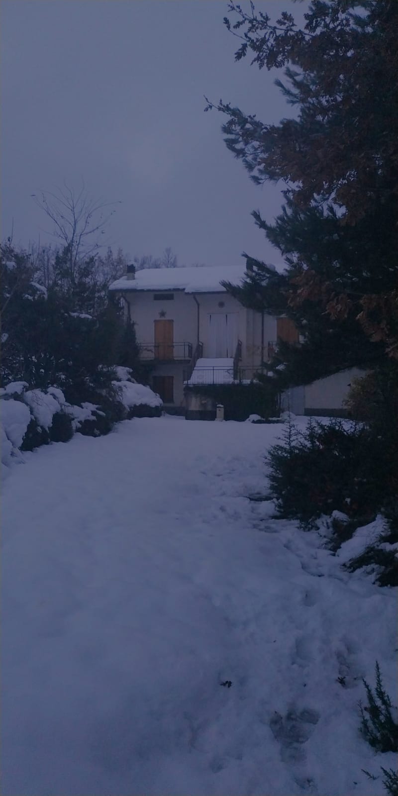 Valbucciana 22 12 2020