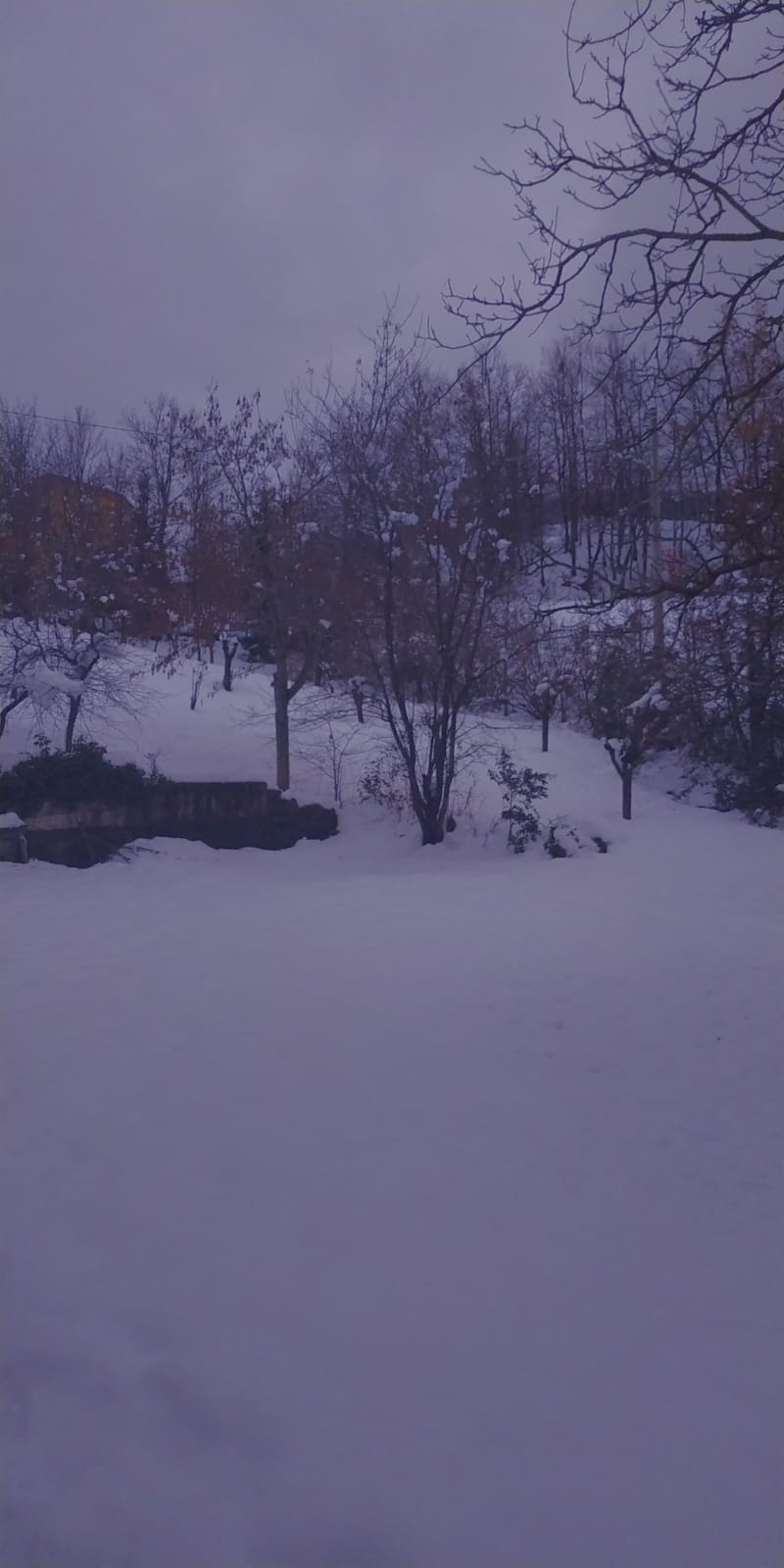 Valbucciana 22 12 2020