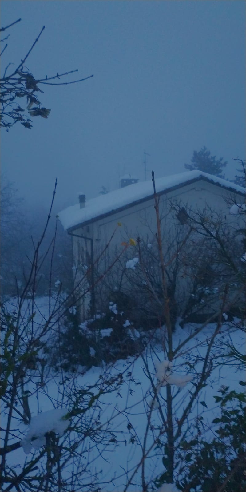 Valbucciana 22 12 2020