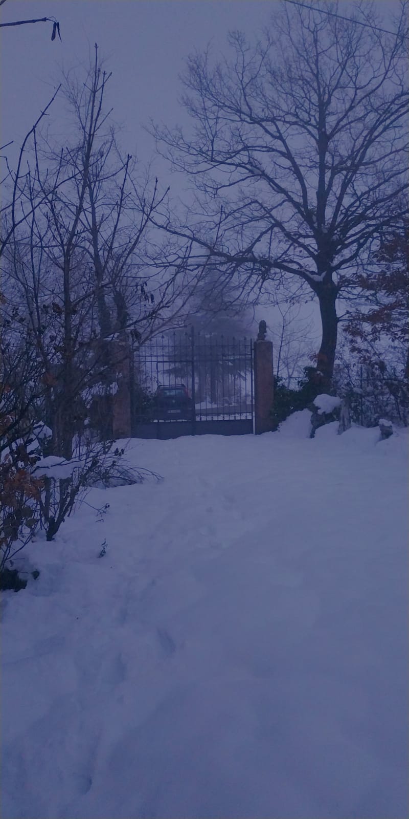 Valbucciana 22 12 2020