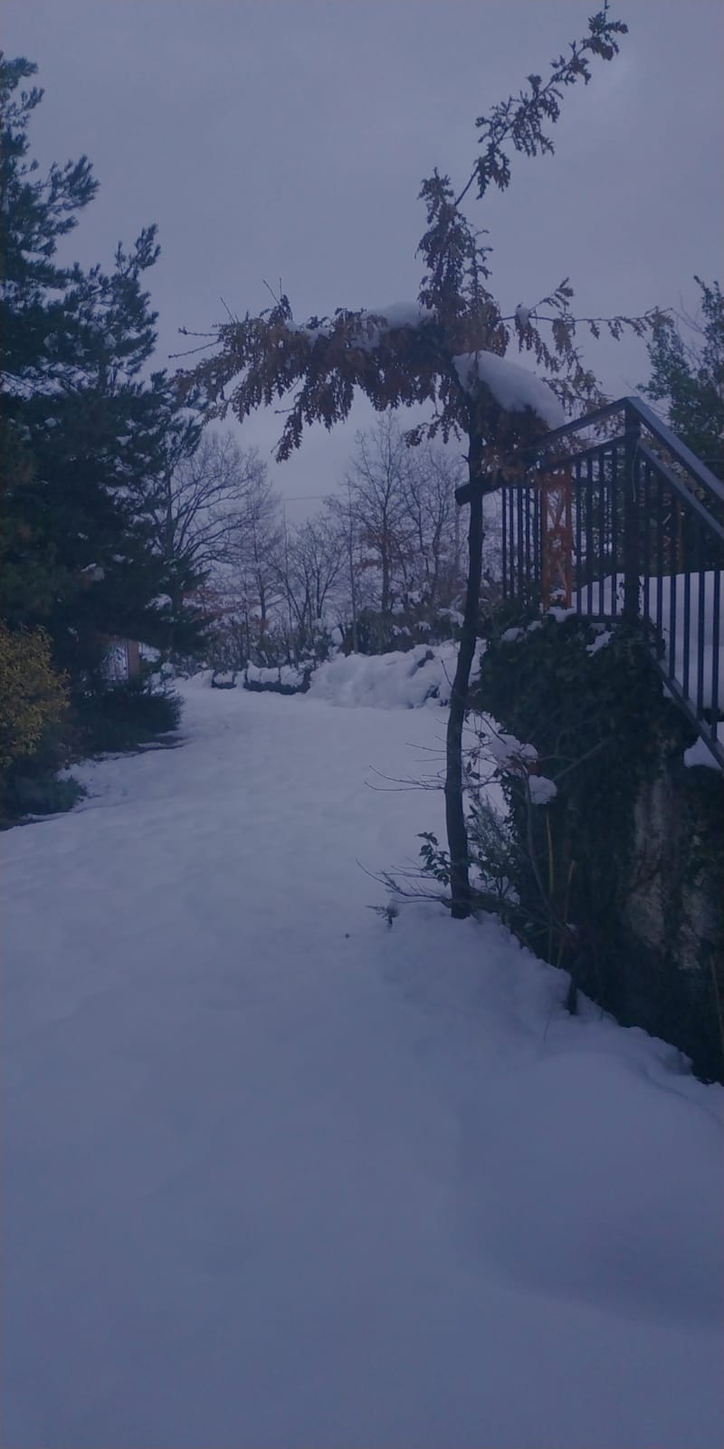 Valbucciana 22 12 2020