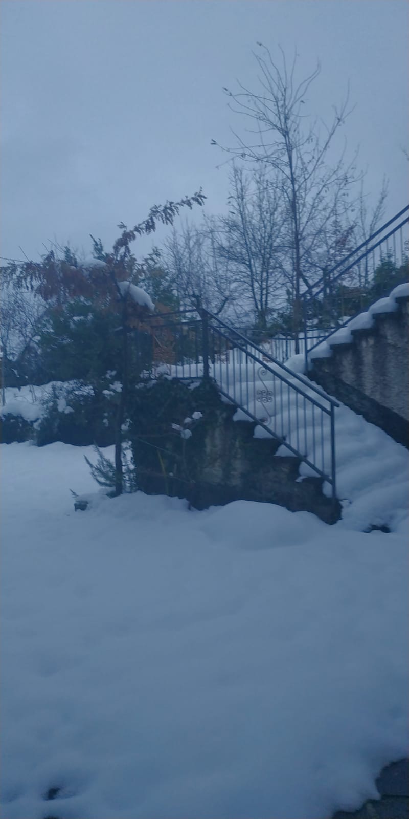 Valbucciana 22 12 2020