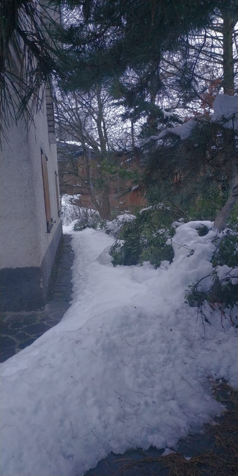 Valbucciana 22 12 2020