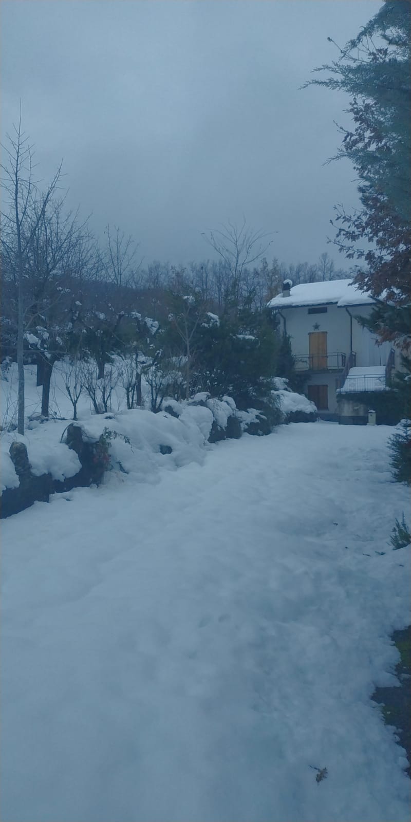 Valbucciana 22 12 2020