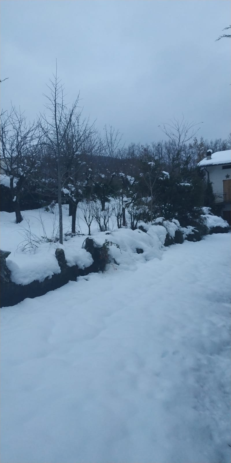 Valbucciana 22 12 2020