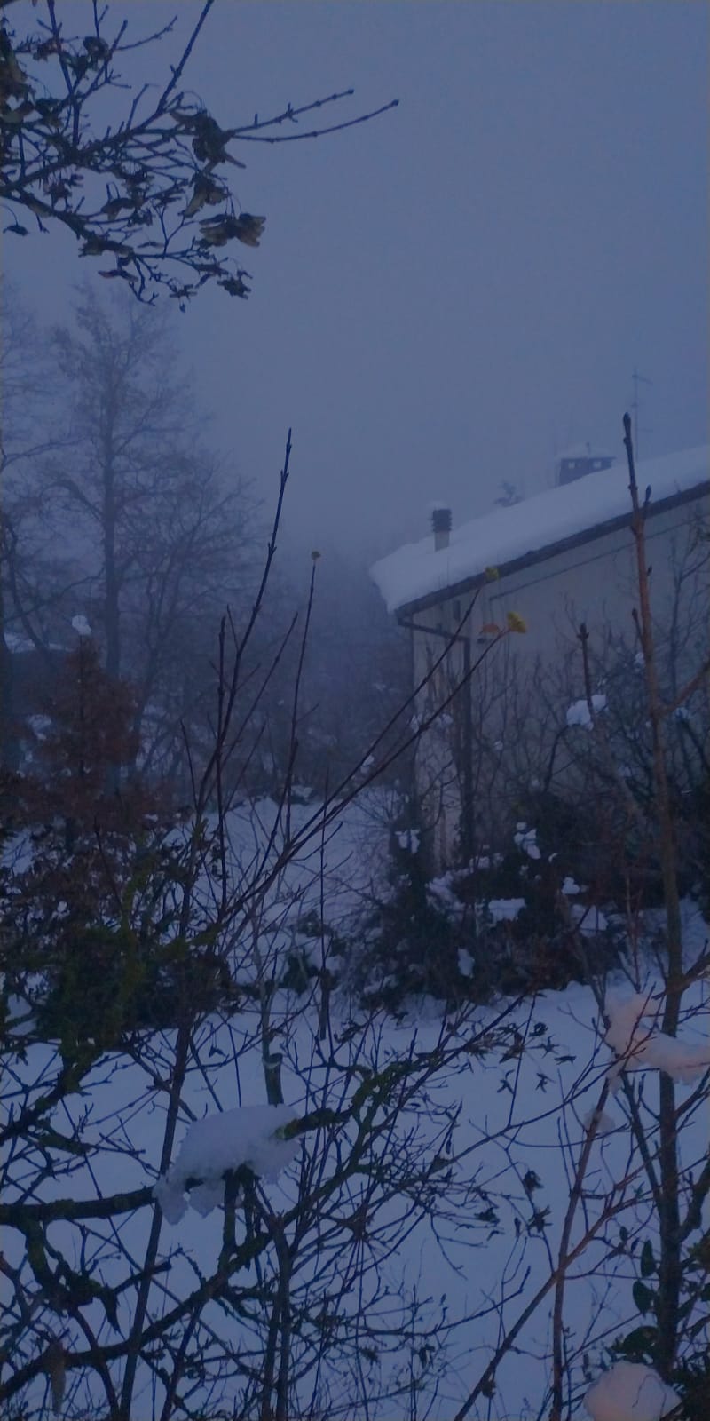 Valbucciana 22 12 2020