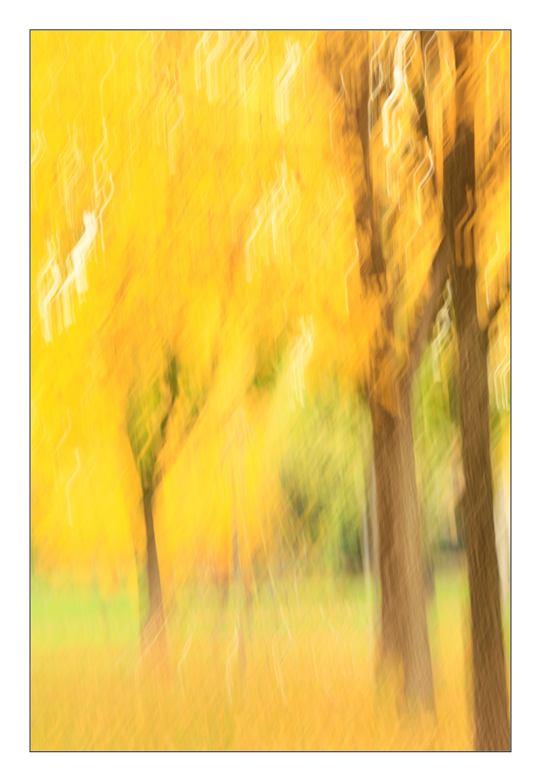 Impressioni d'autunno_04