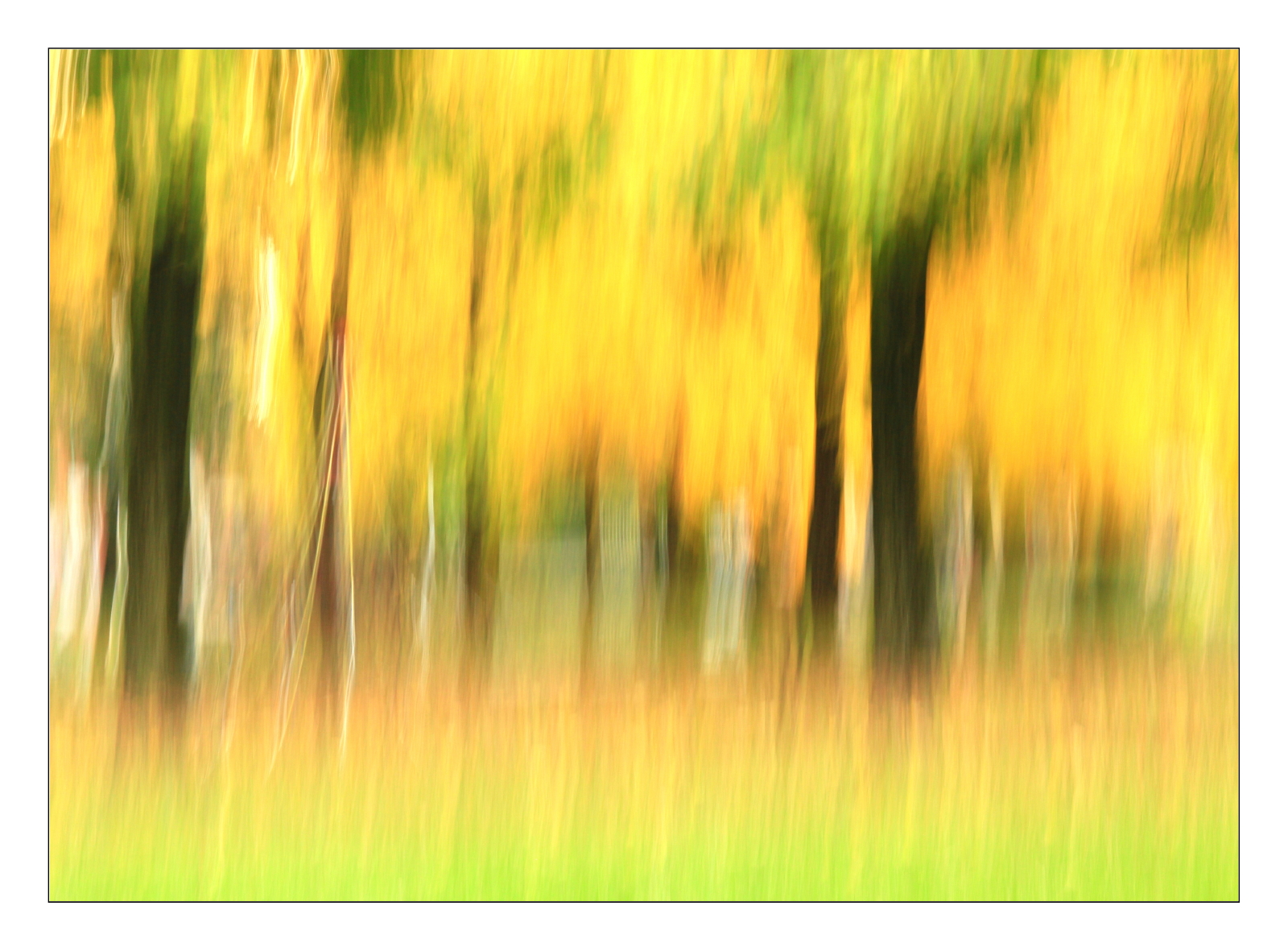 Impressioni d'autunno_05