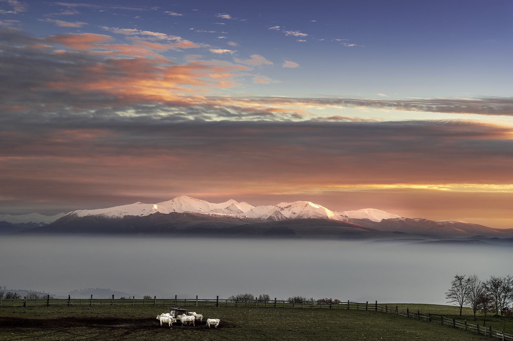 Pastures and Sibillini Mountains