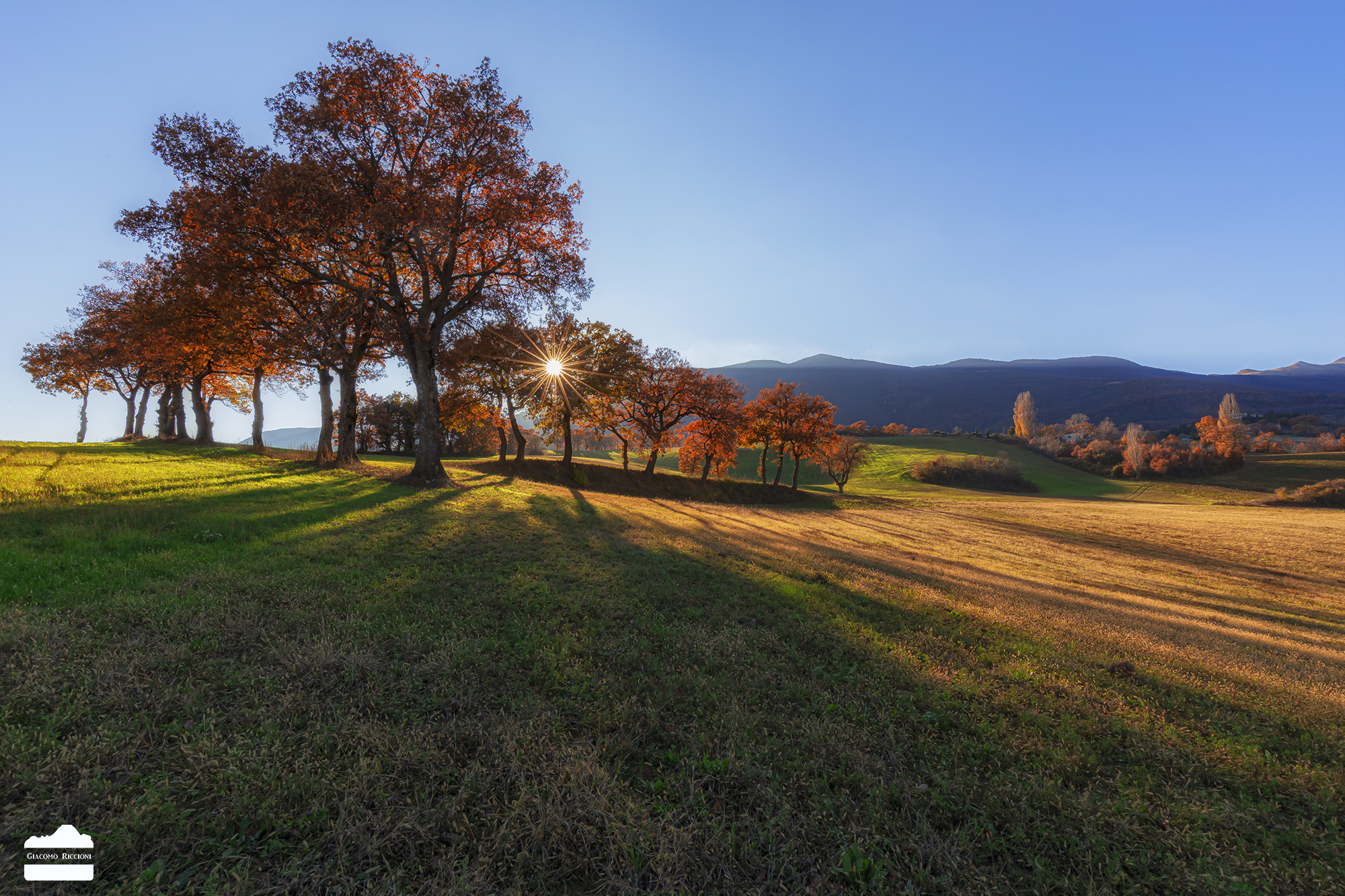 Castelraimondo Campaign