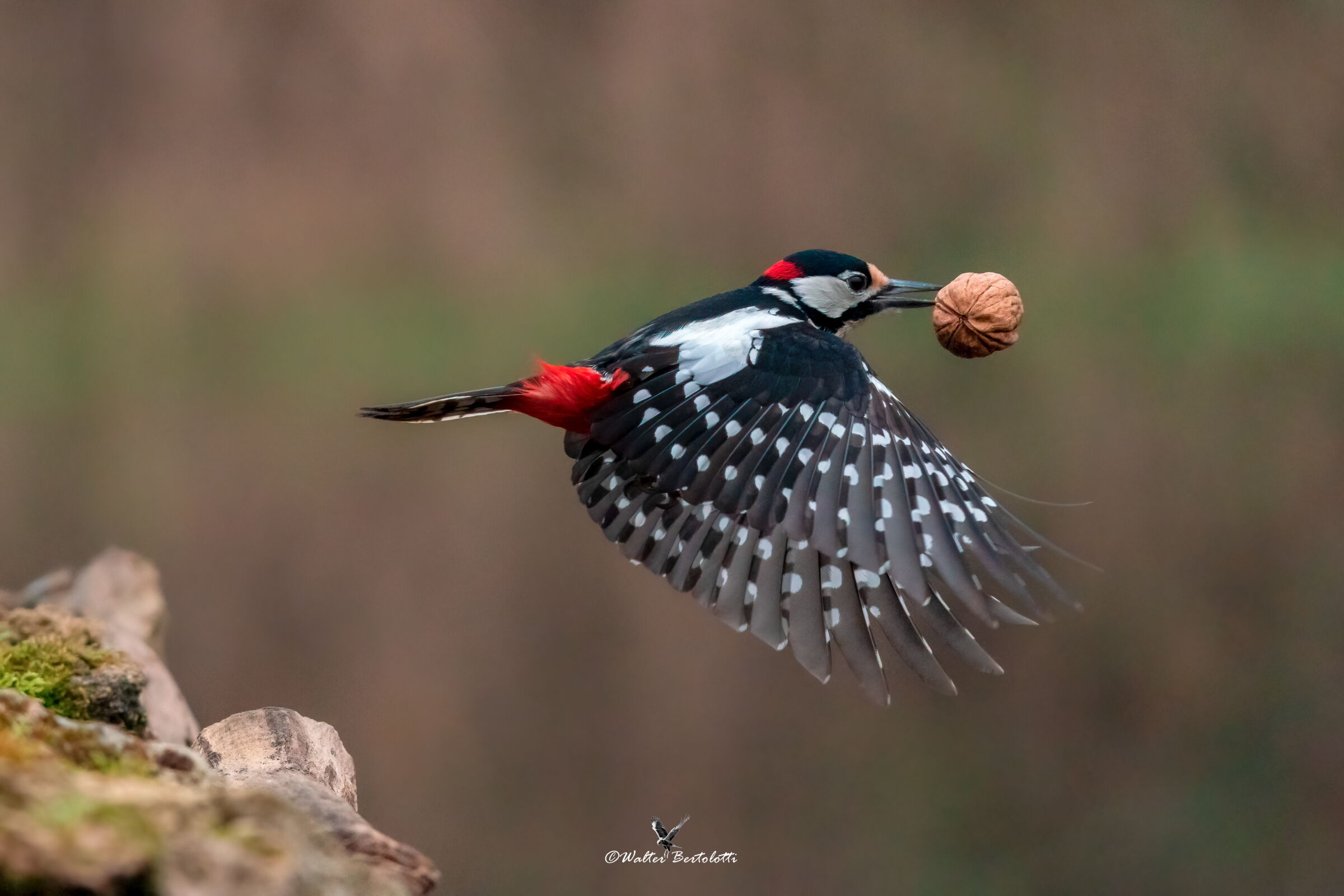 on the run with loot