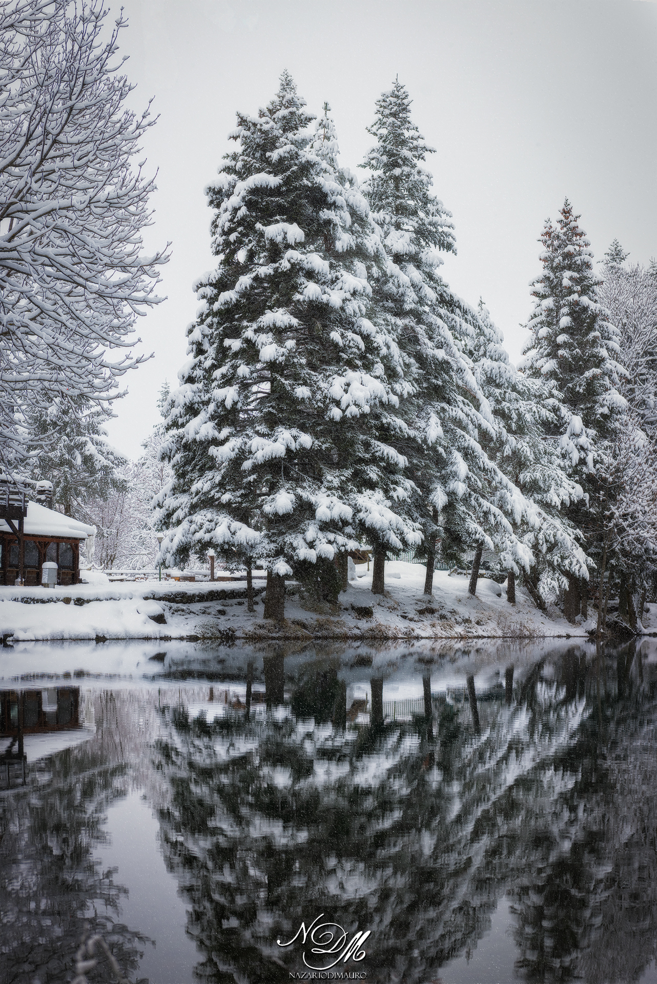 Buone Feste a tutti...