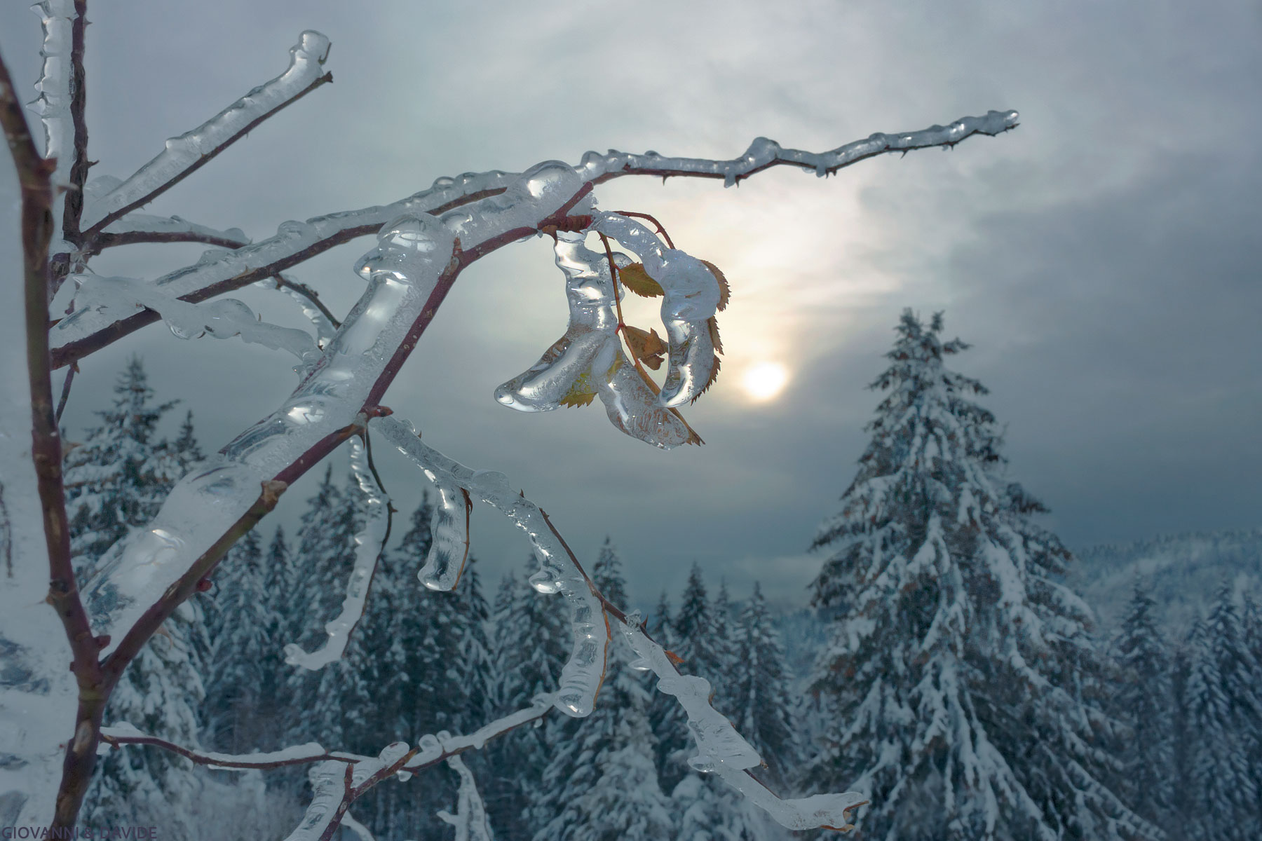 ...un debole sole...