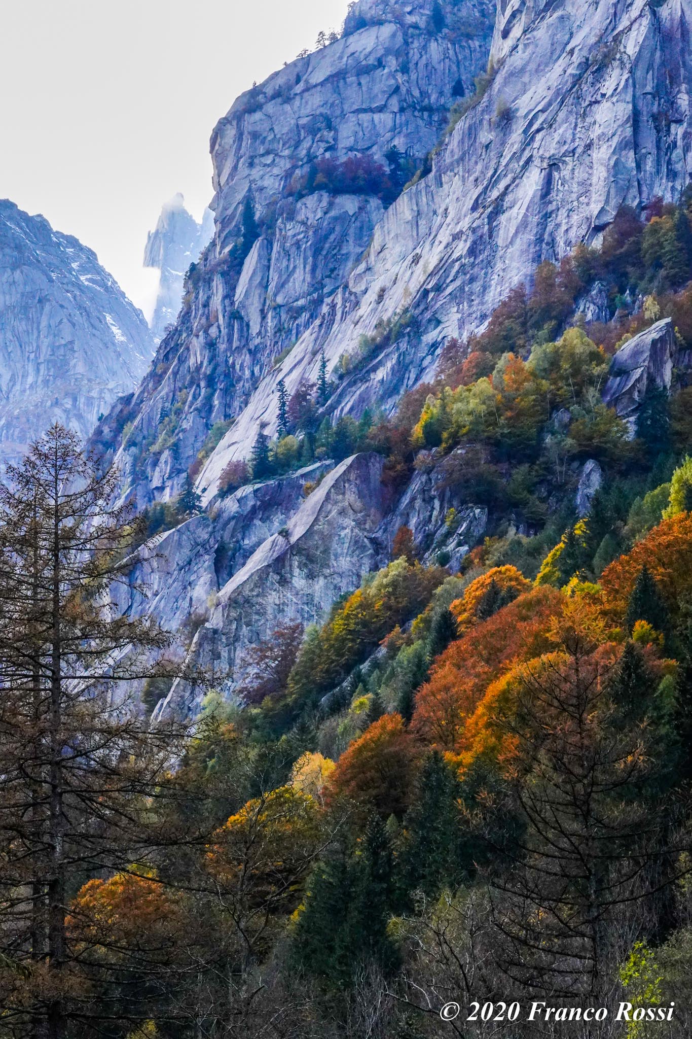 Autumn in Lower Mello Valley, Valtellina SO