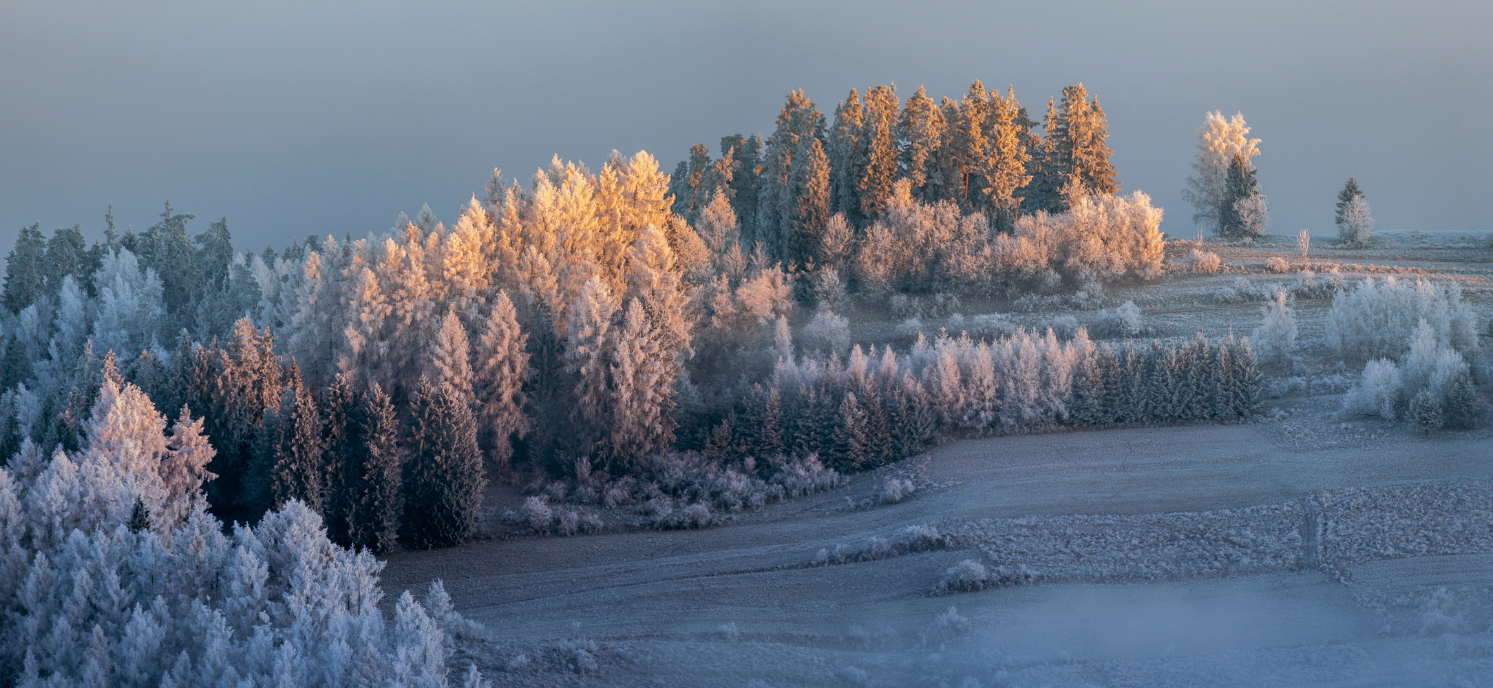 Winter in Poland