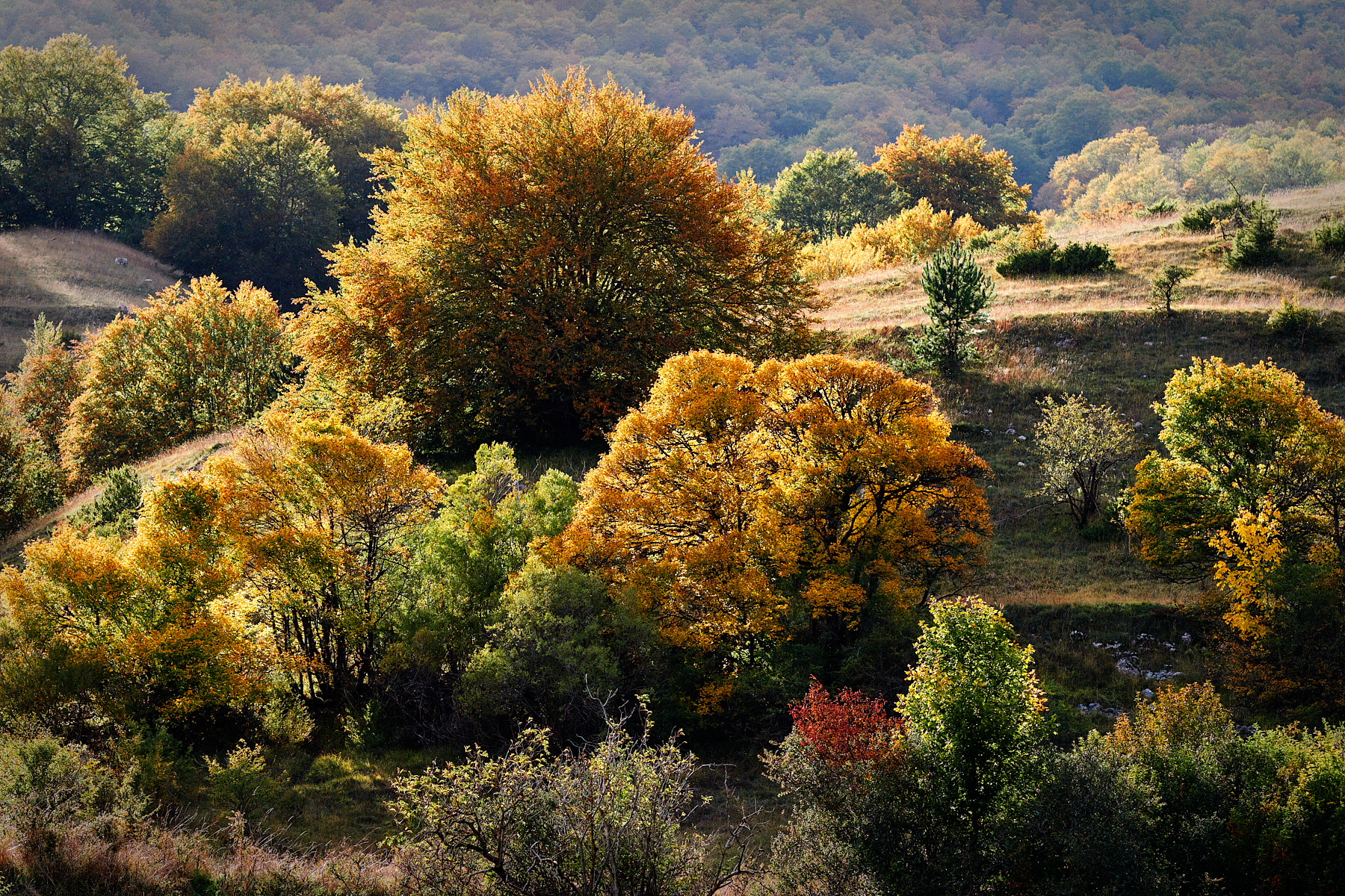 Autunno