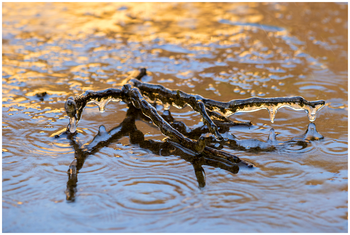 the decorations of the ice