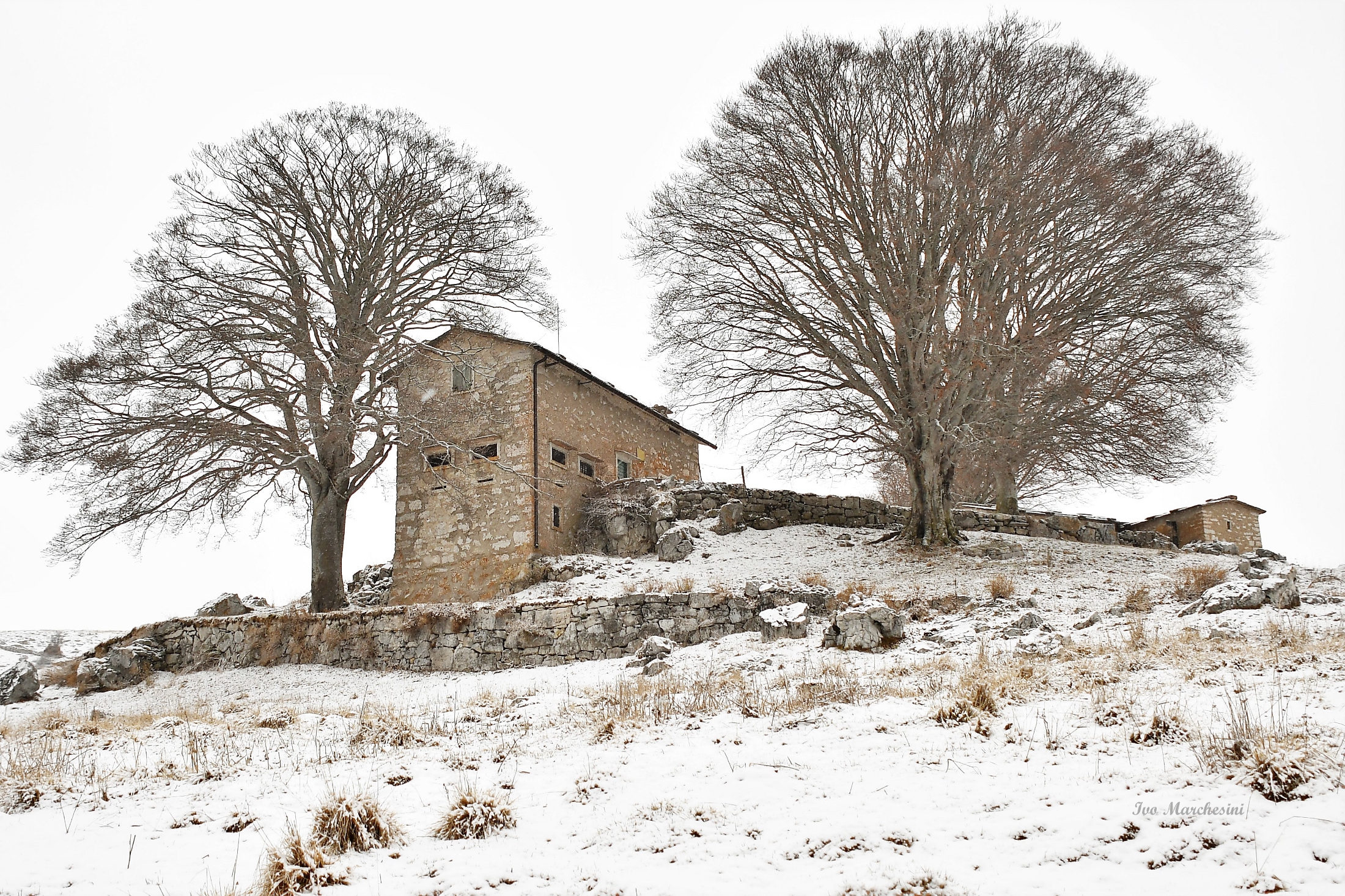 Malga Belfiore di Cima__Lessinia