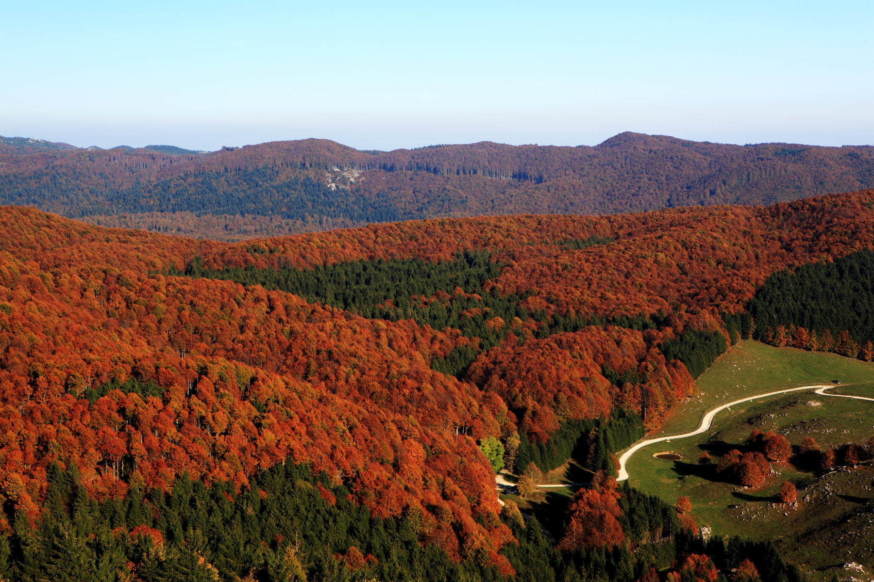 Foresta del Cansiglio