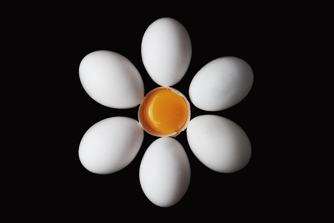 egg