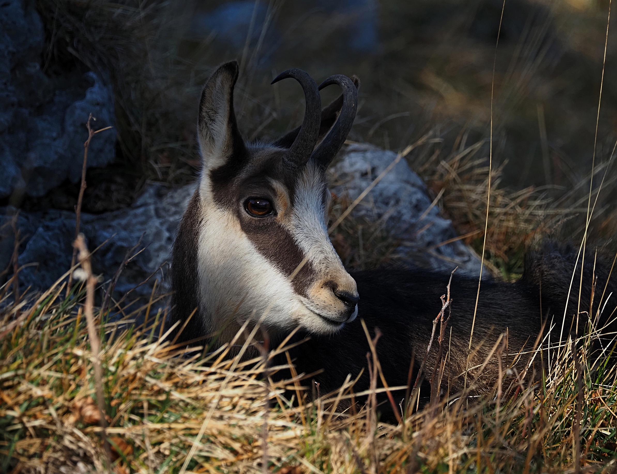 That light in your gaze