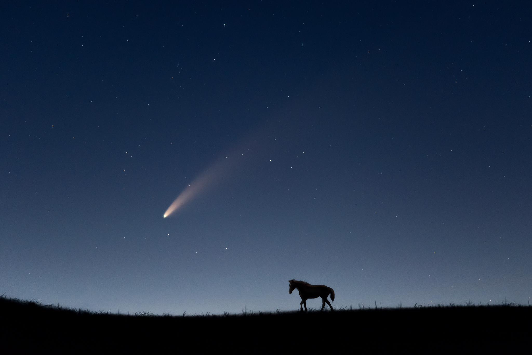 Neowise