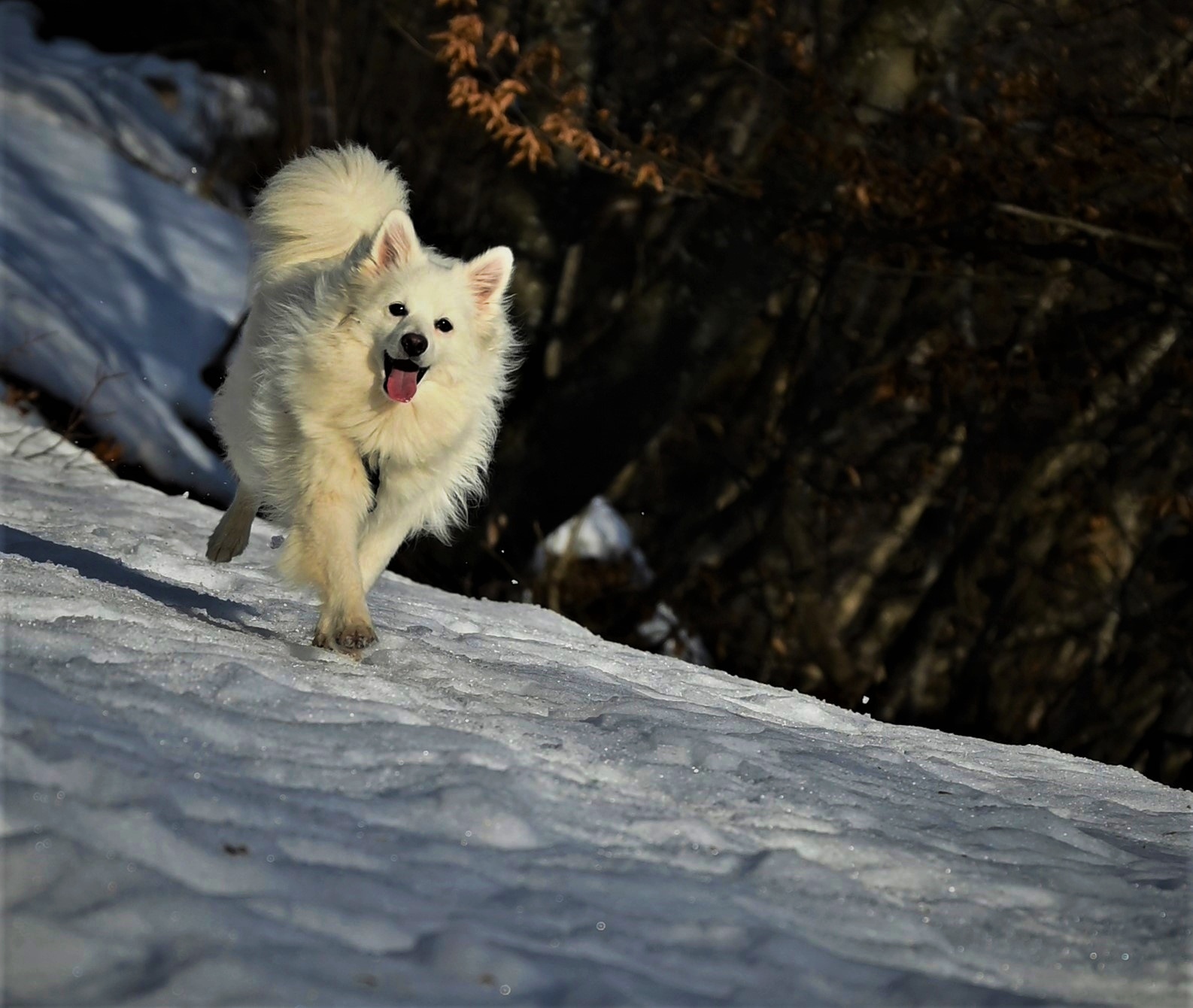 Babalu' shooting rehearsals...