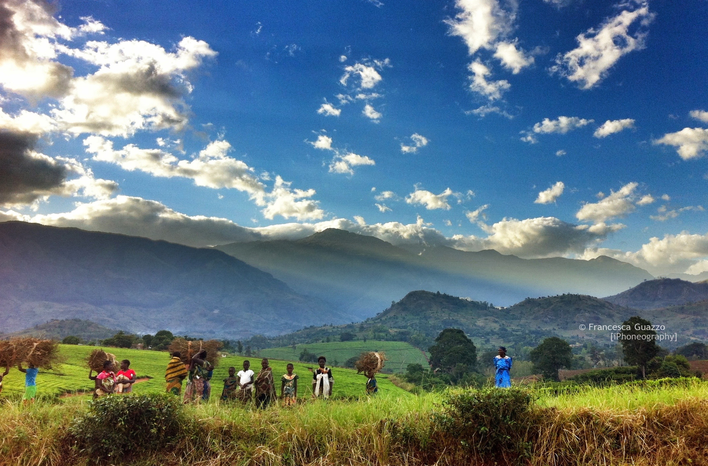 Mulanje mountain reserve, Malawi