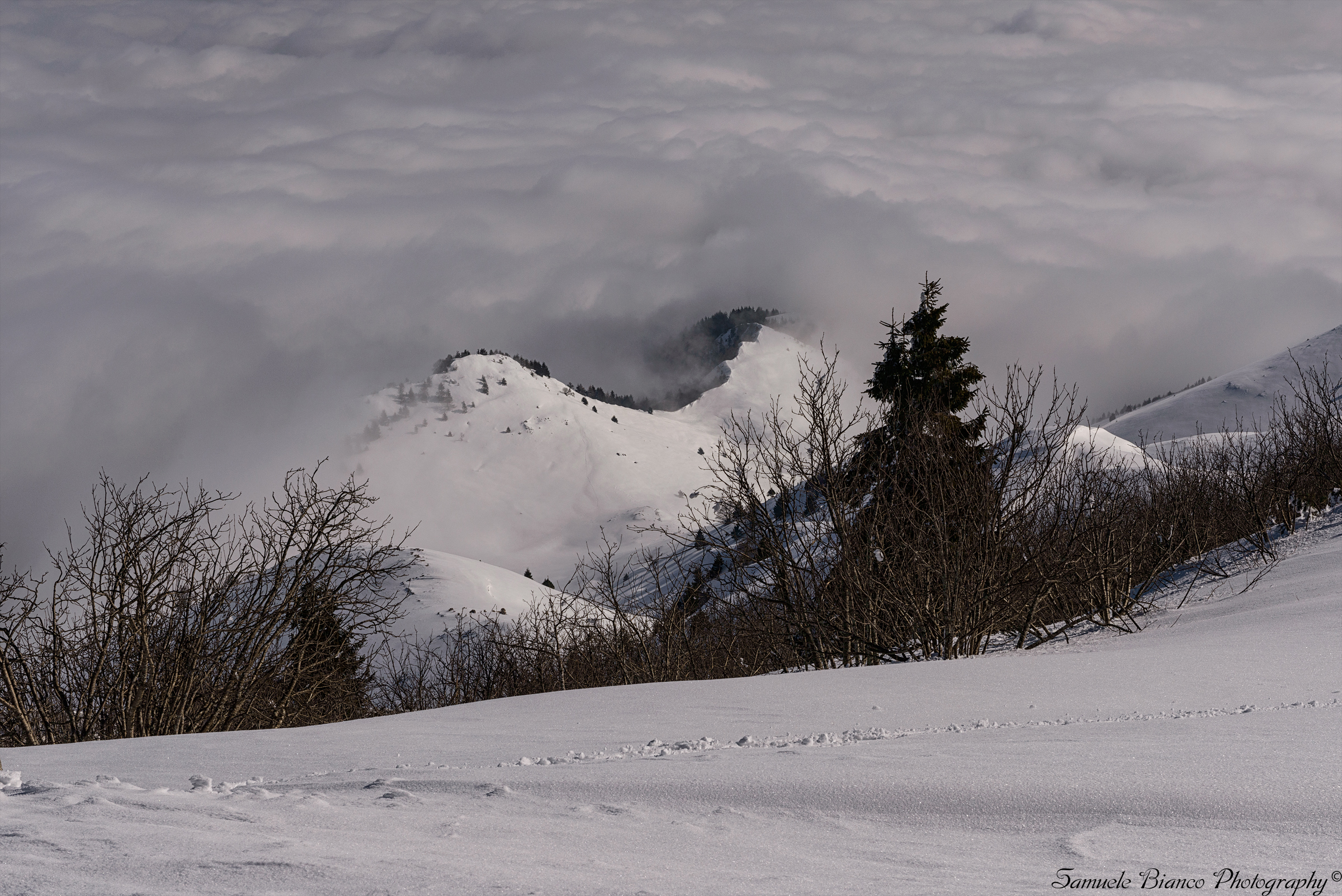 In the other I'll fall