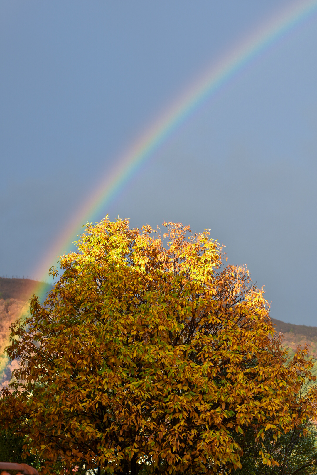 2020 is coming to an end. Rainbow