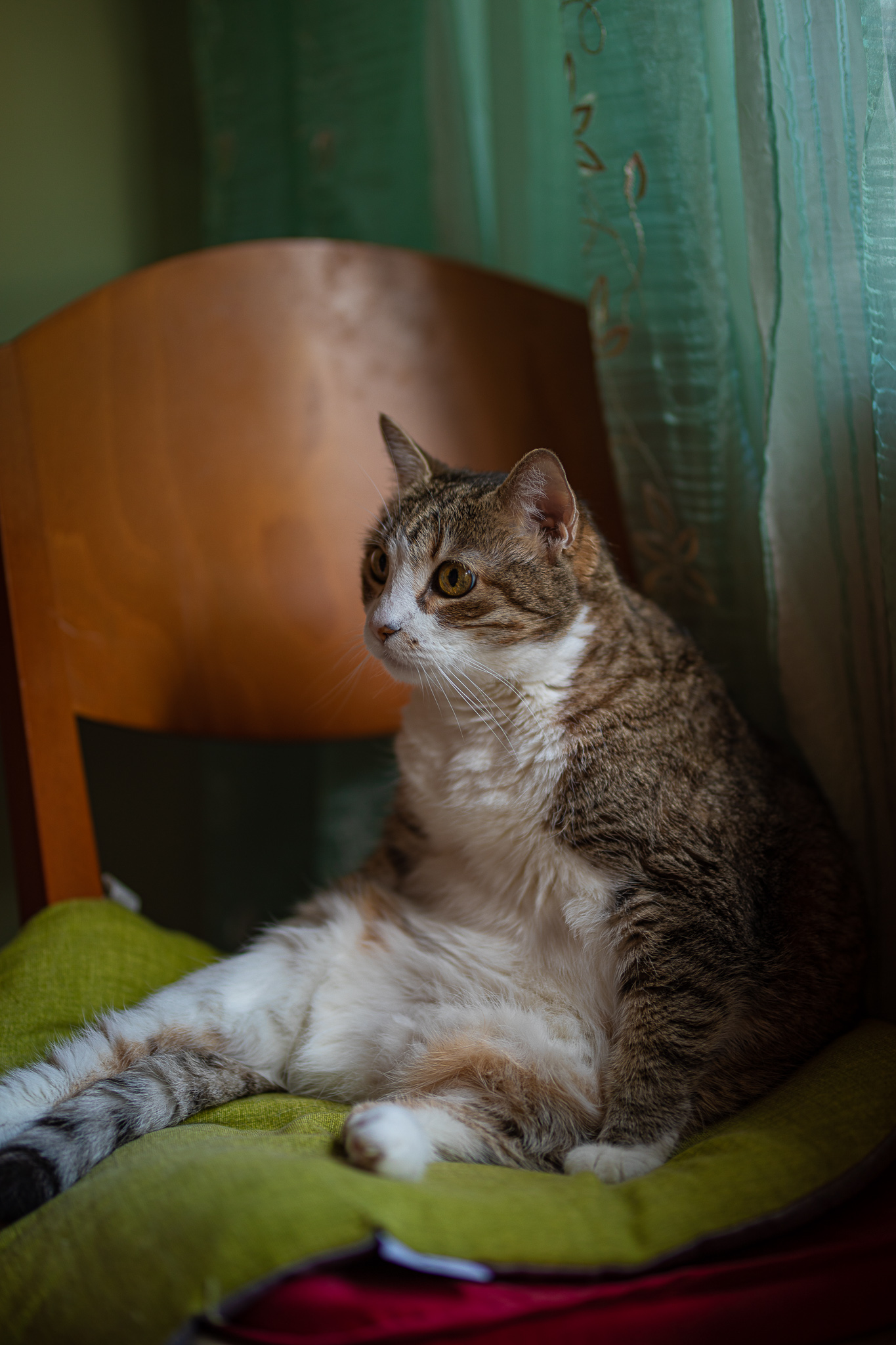 Una Modella paziente ma decisa