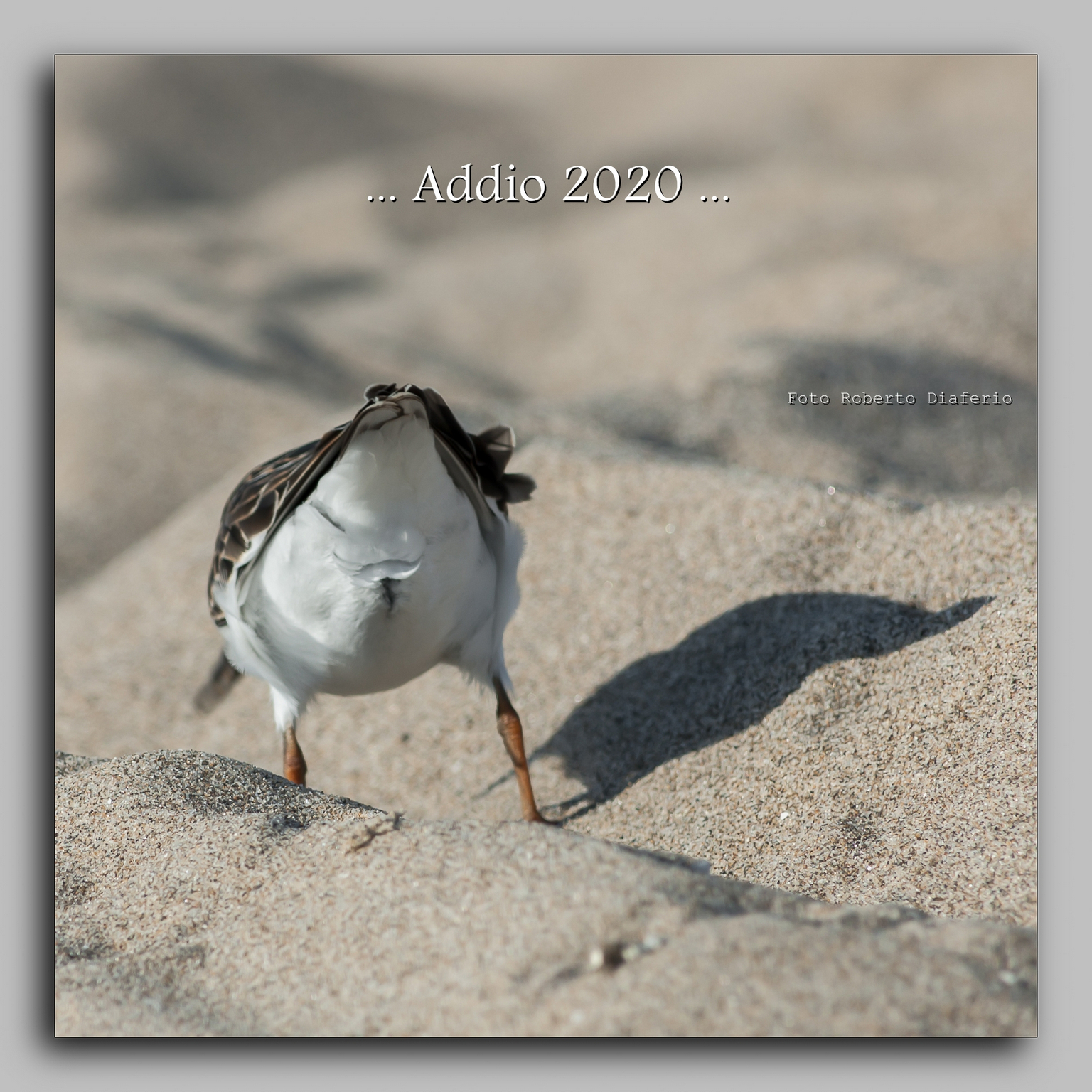 ...buon anno a tutti...