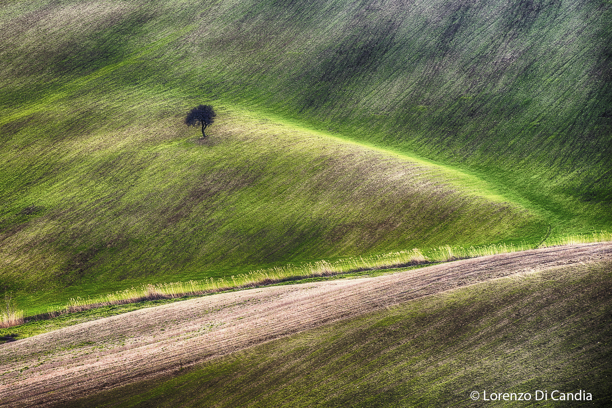 Basilicata Landscape 5